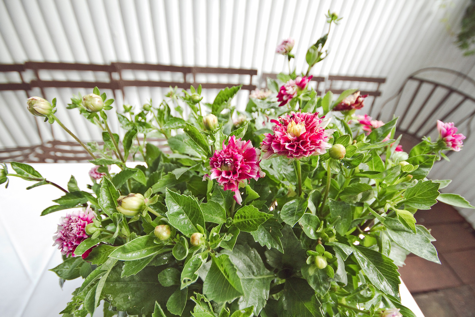      

 
  beIMAGED Wedding Photography
 






















     