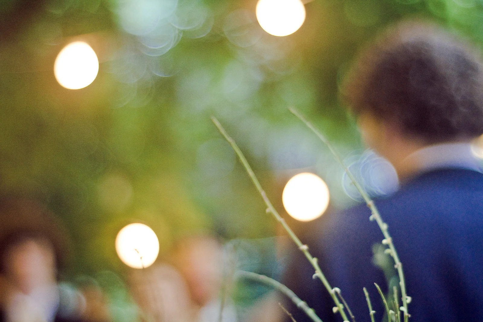      

 
  beIMAGED Wedding Photography
 






















     