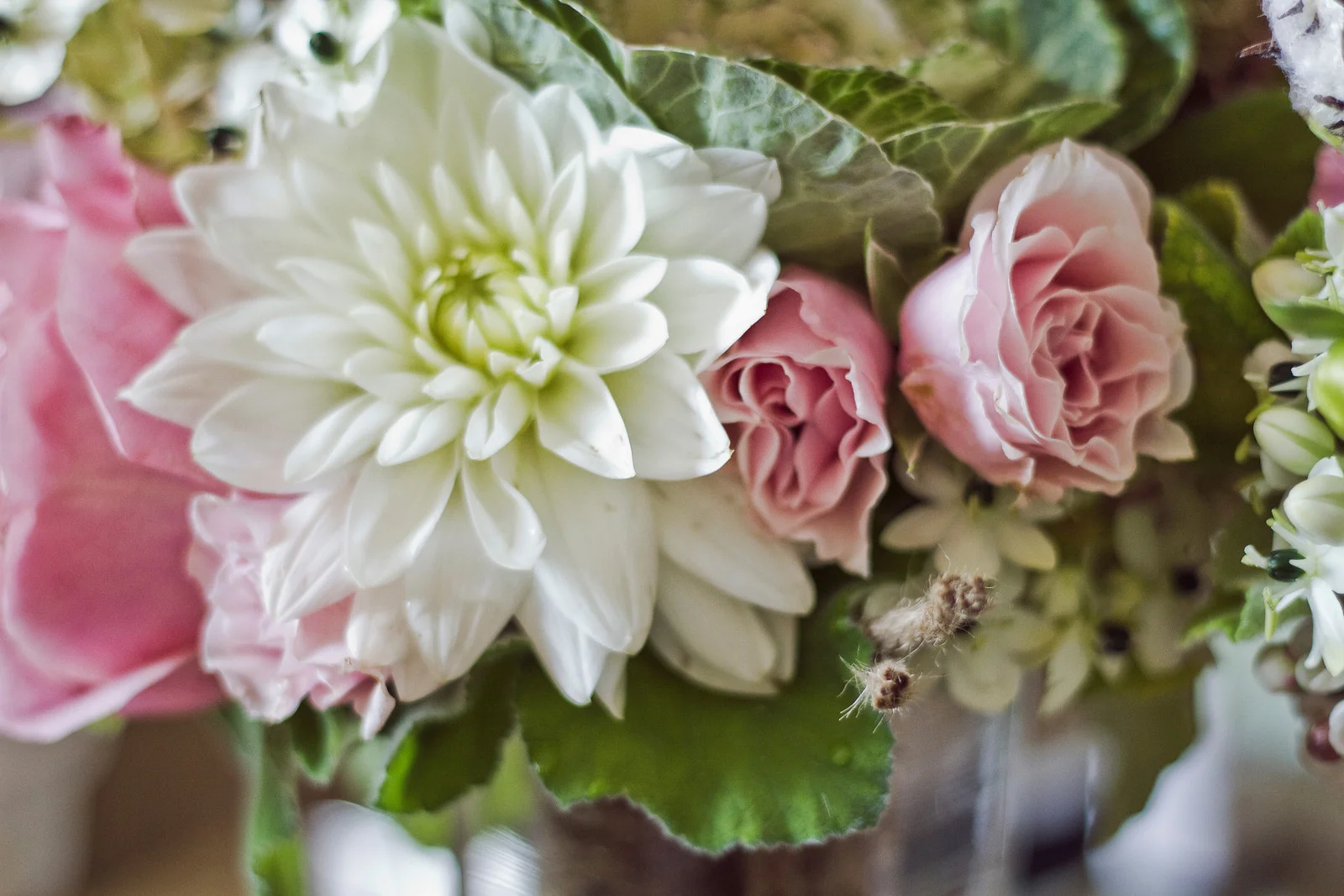      

 
  beIMAGED Wedding Photography
 






















     