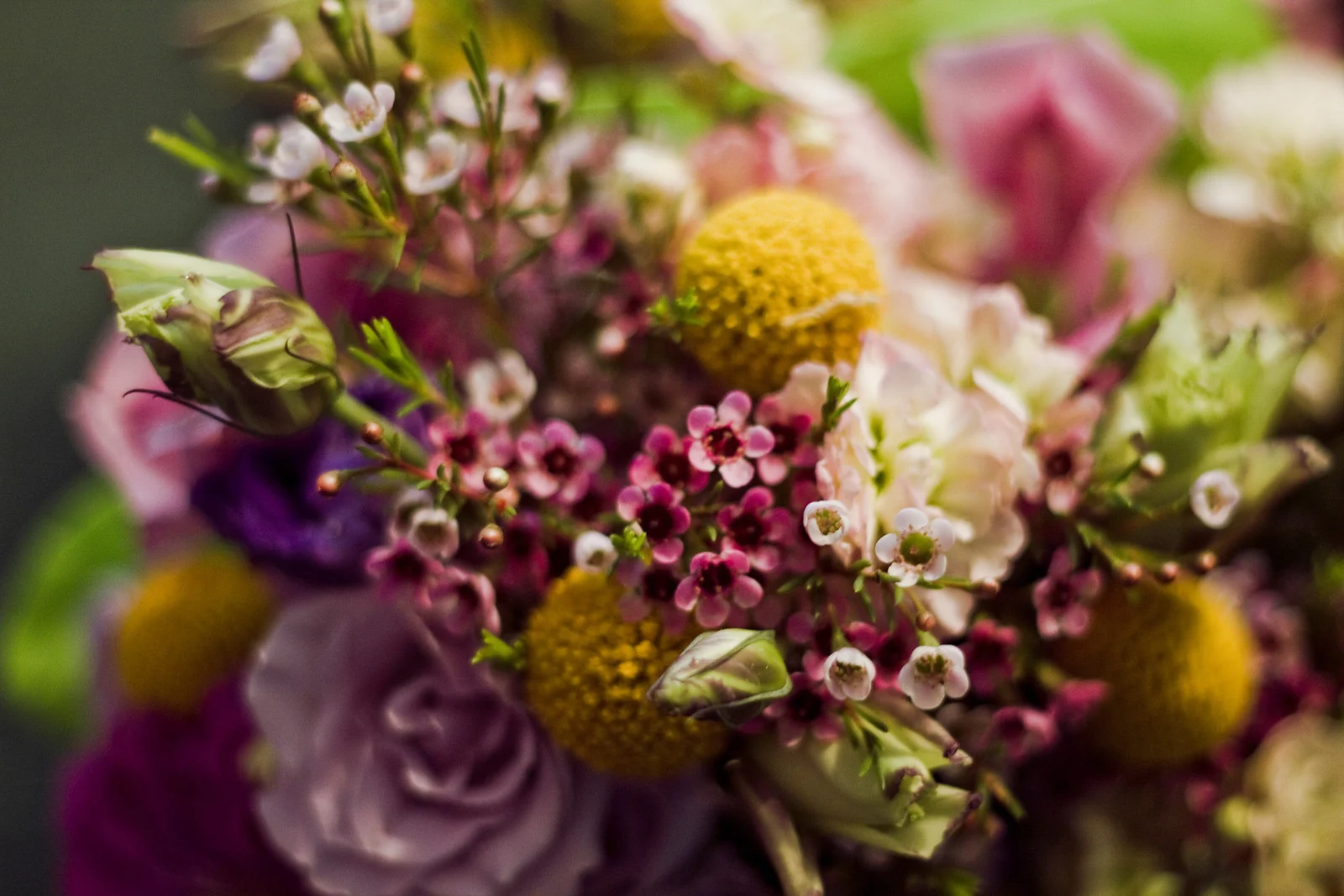 beIMAGED Wedding Photography