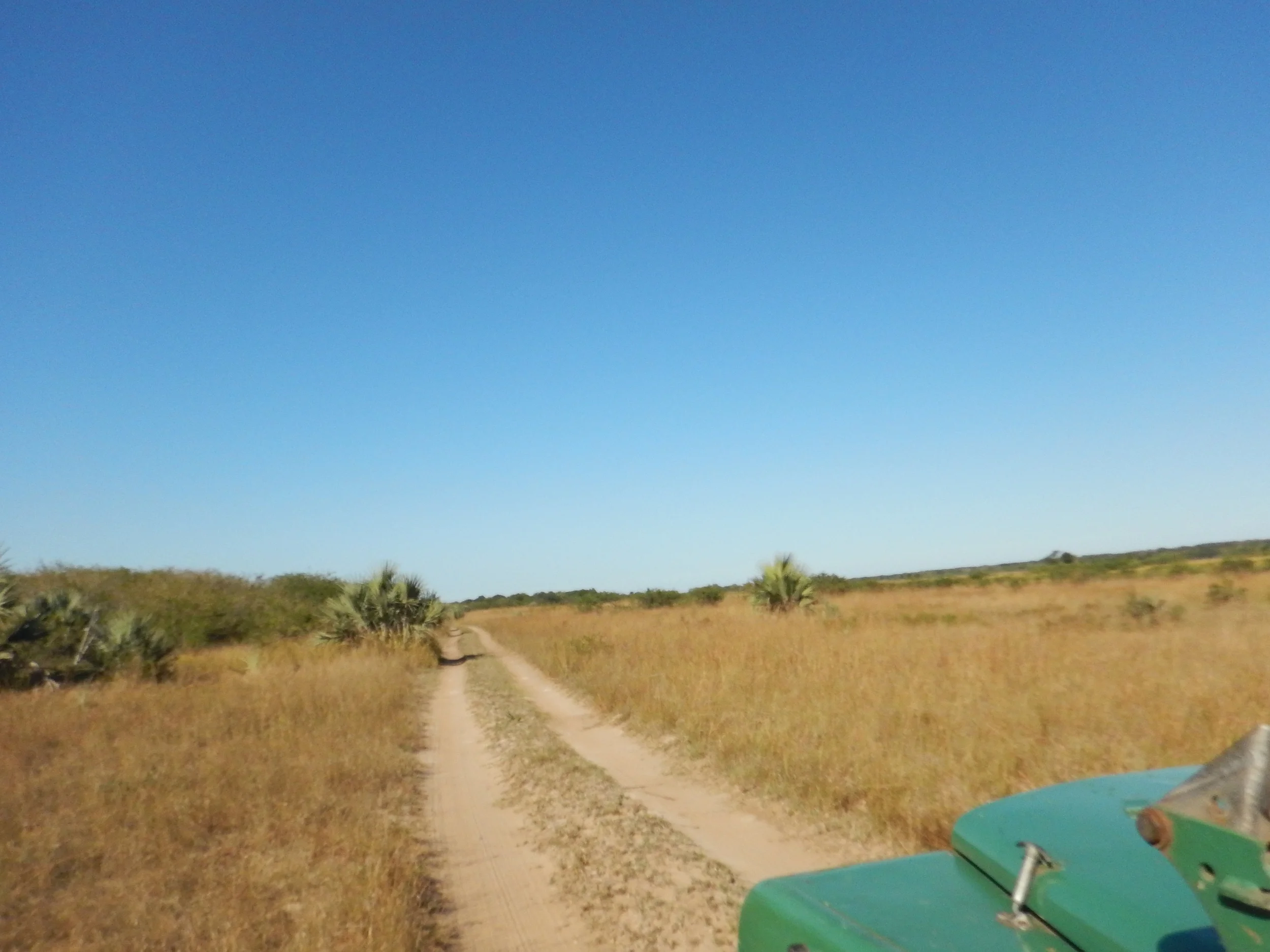 The road to Tembe