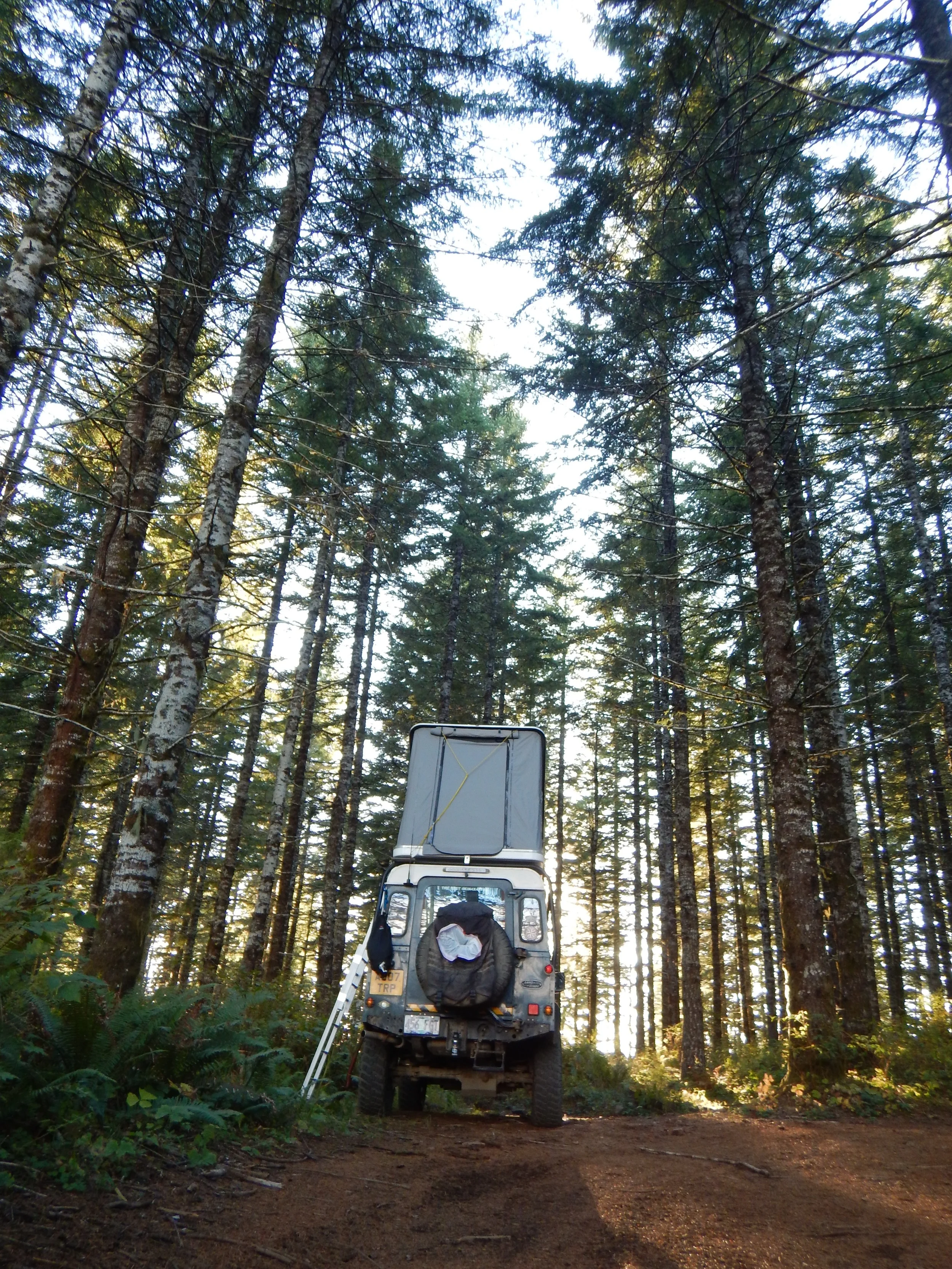 Volunteers Wayne and Cathy Phelps found the best campsite with their 1984 Defender 110.