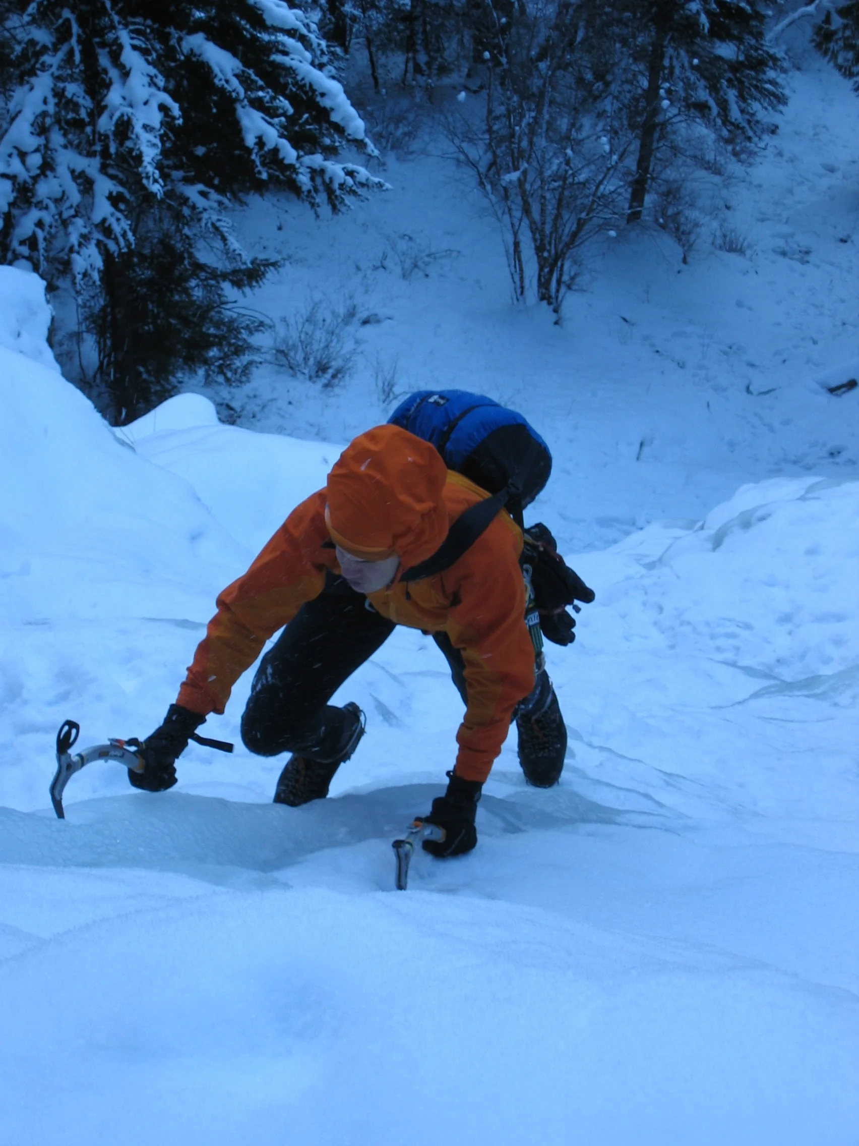 It's winter - stay warm out there!