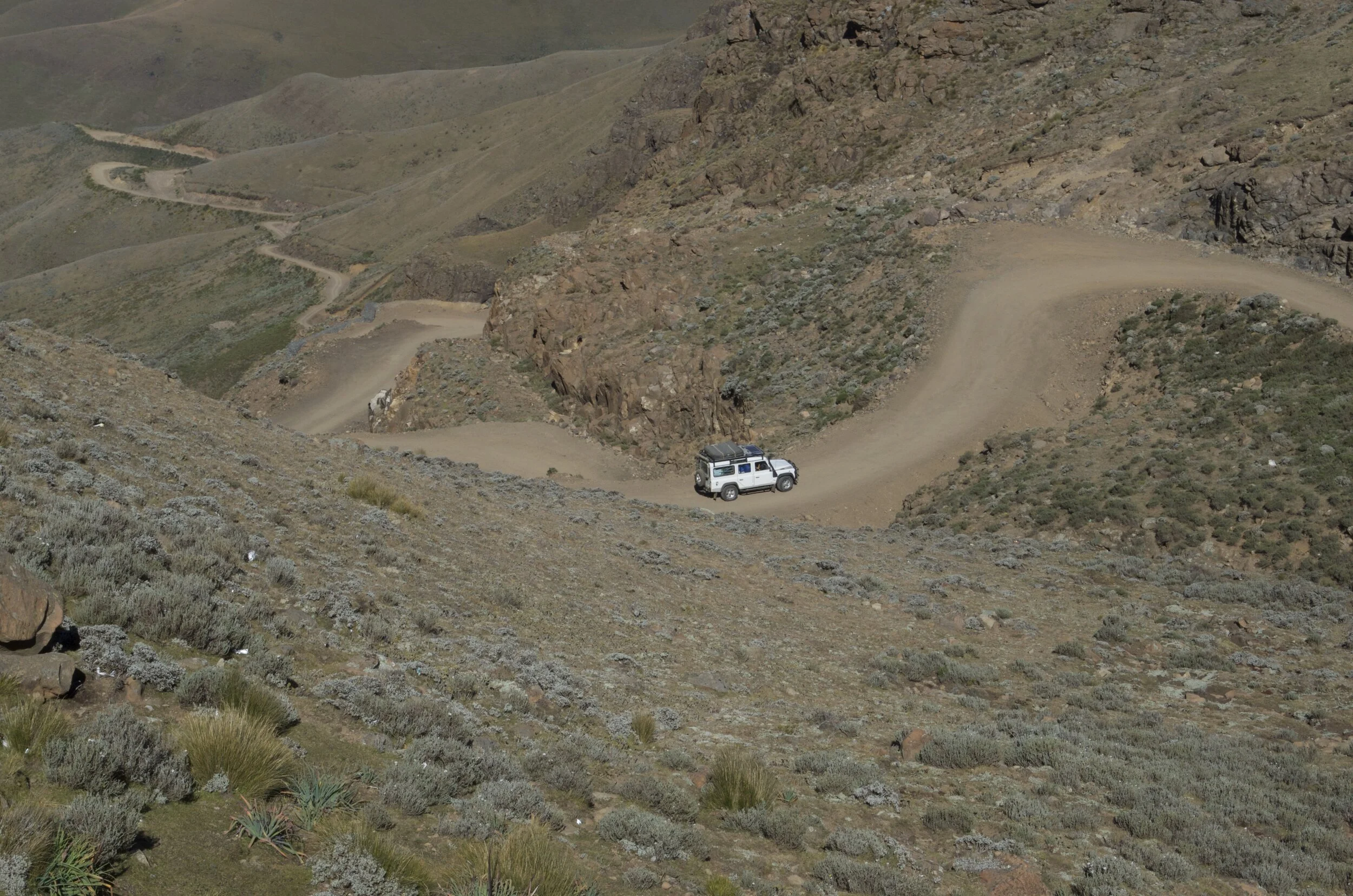 Safari luggage - picking the right container