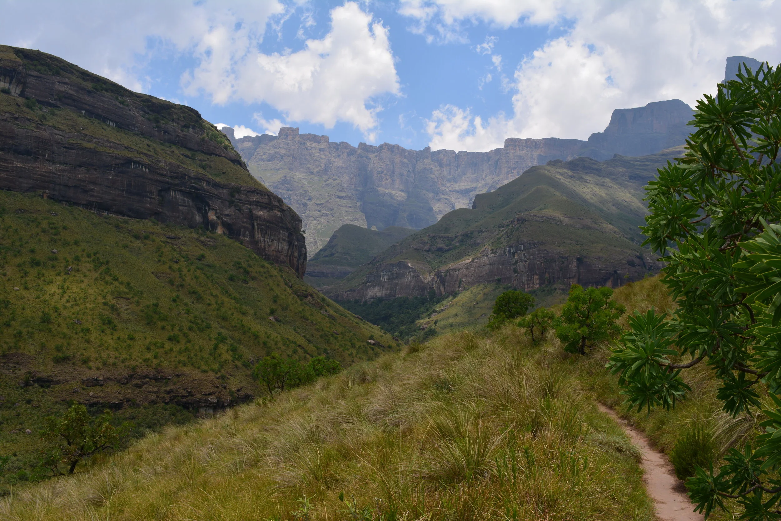 Safari kit - what do you really need?