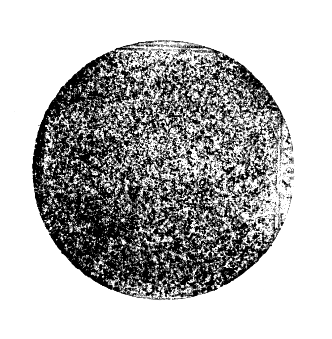 Black circle with a white, intricate, web-like pattern on a black background.