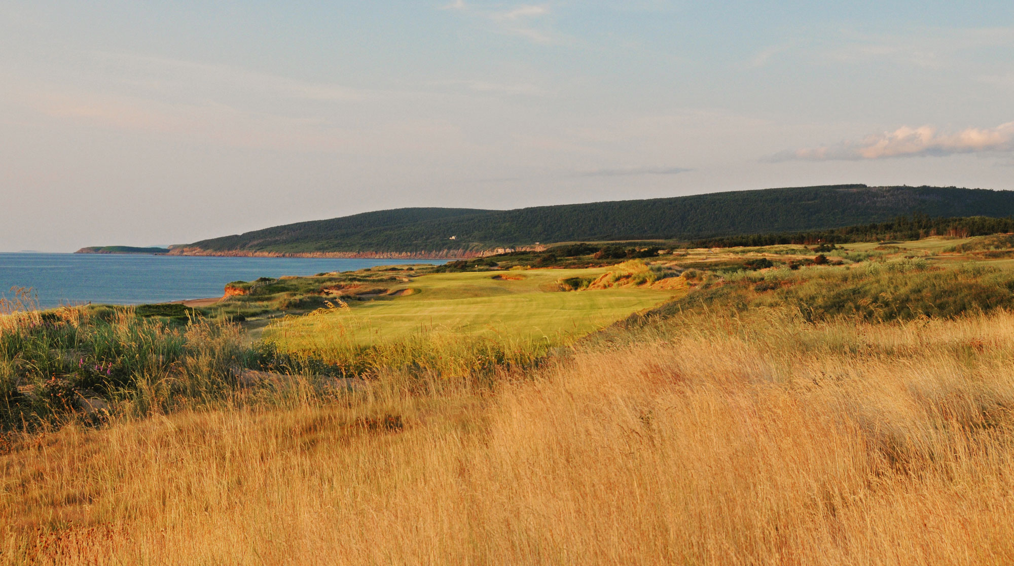 Cabot-Links-Robert-Kaufman.jpg