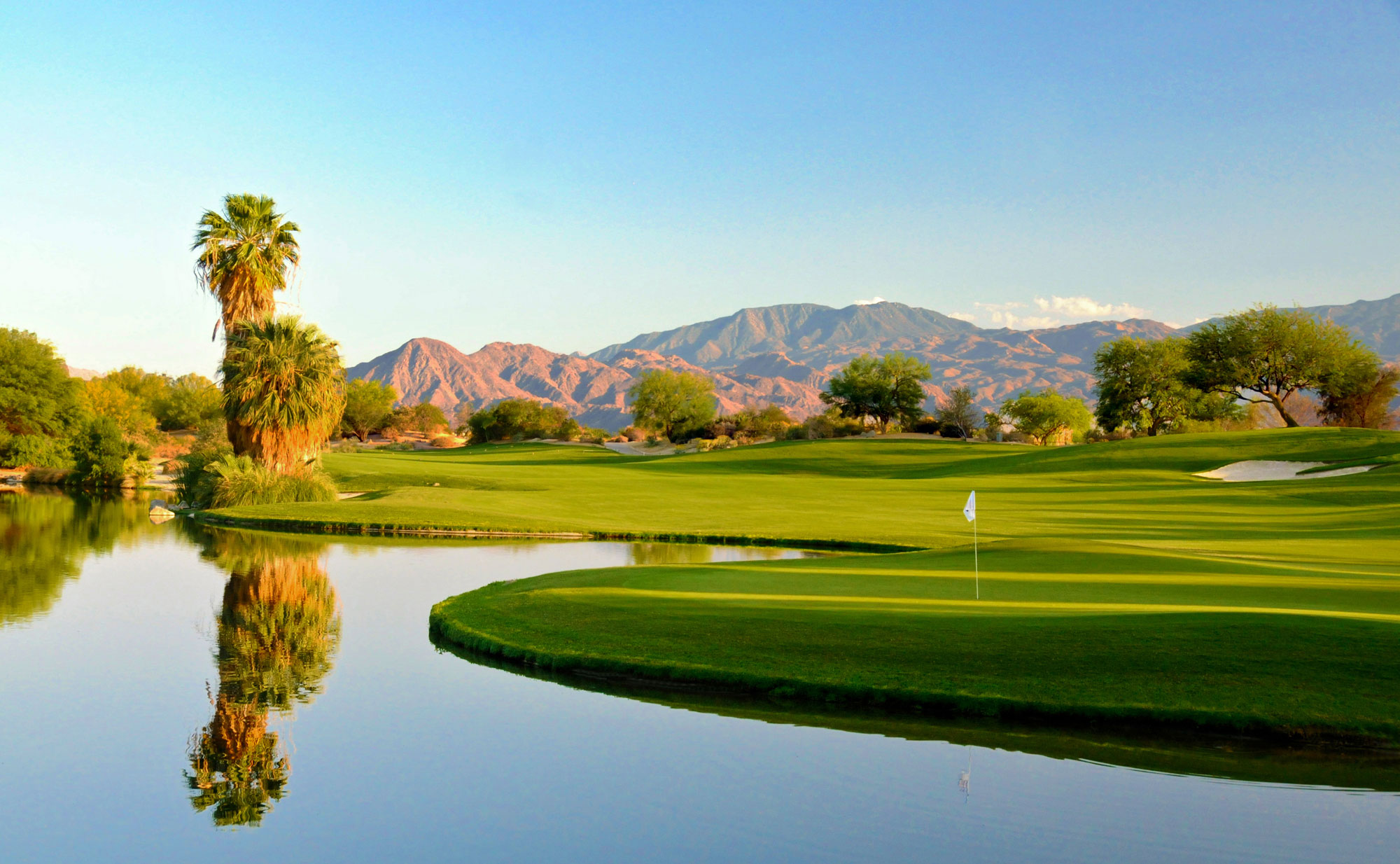 Desert-Willow-Robert-Kaufman.jpg