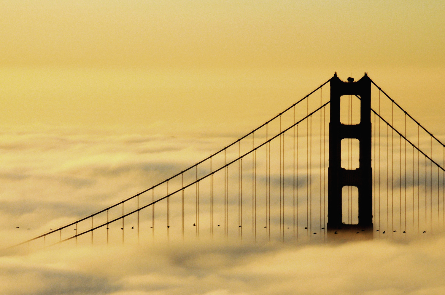 ContactHeader-Golden-Gate-Bridge.jpg