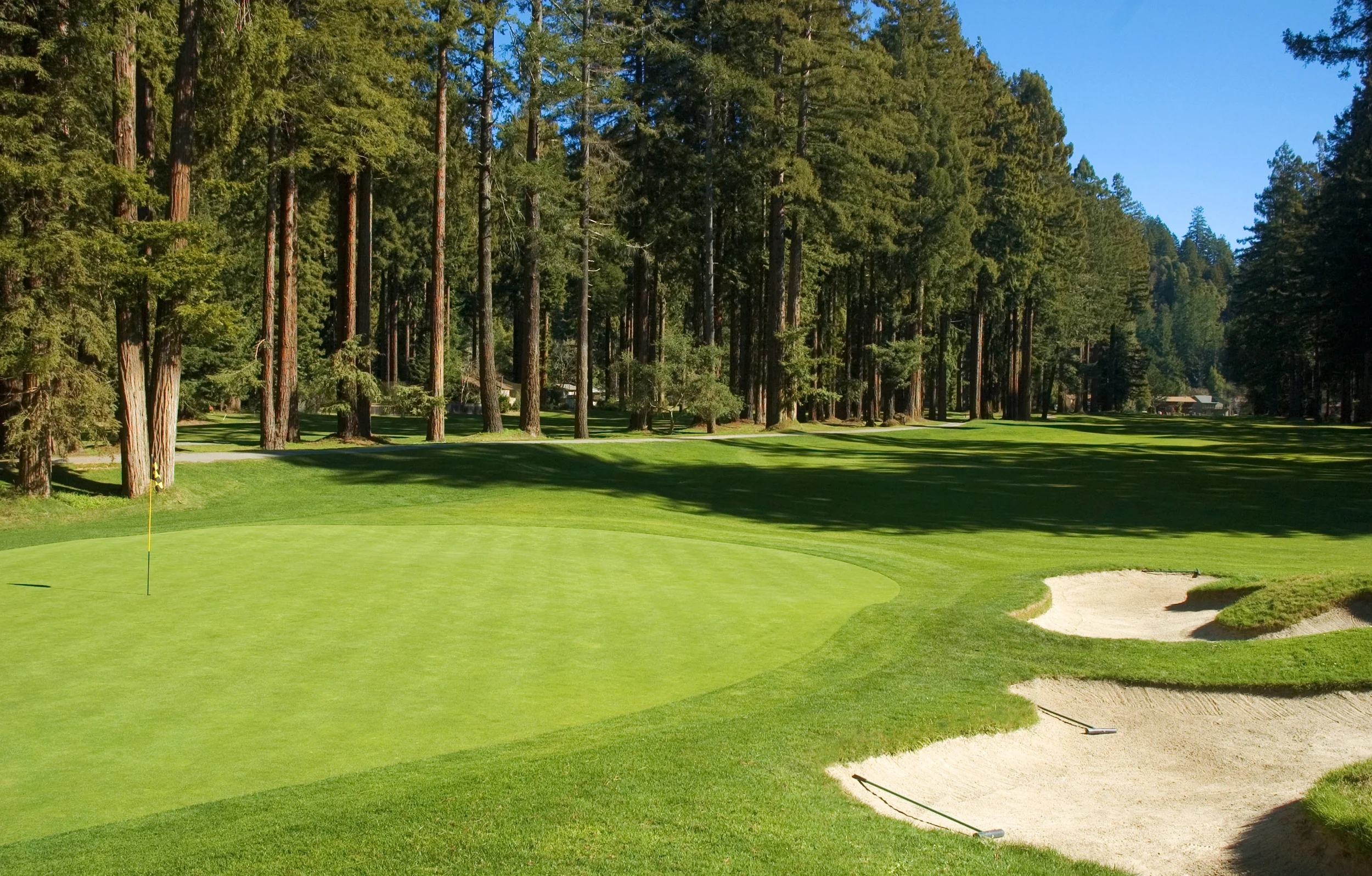 The narrow 464-yard, par 5, 5th hole plays straight as a bowling alley guarded by two lanes of Redwoods. © Robert Kaufman