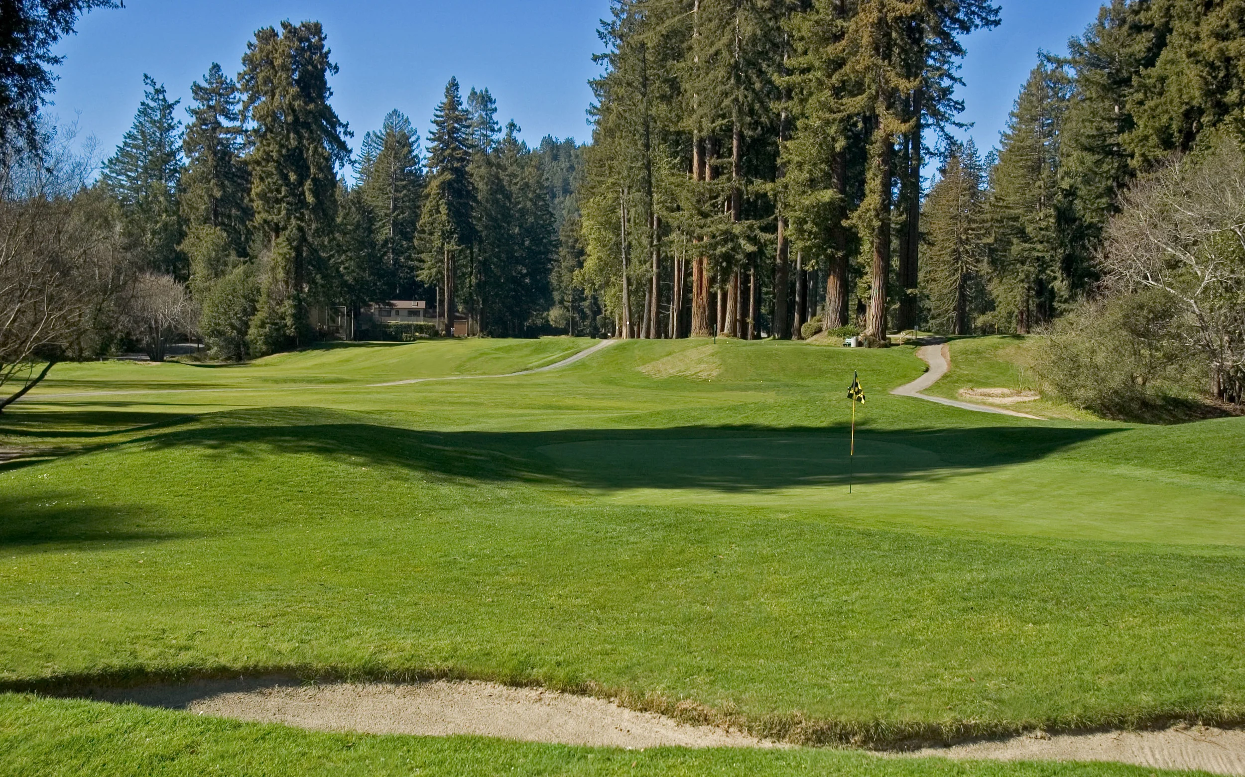 The shortest of the nine, the downhill 120-yard, par 3, 8th provides the only tee shot that should not be affected by trees. © Robert Kaufman