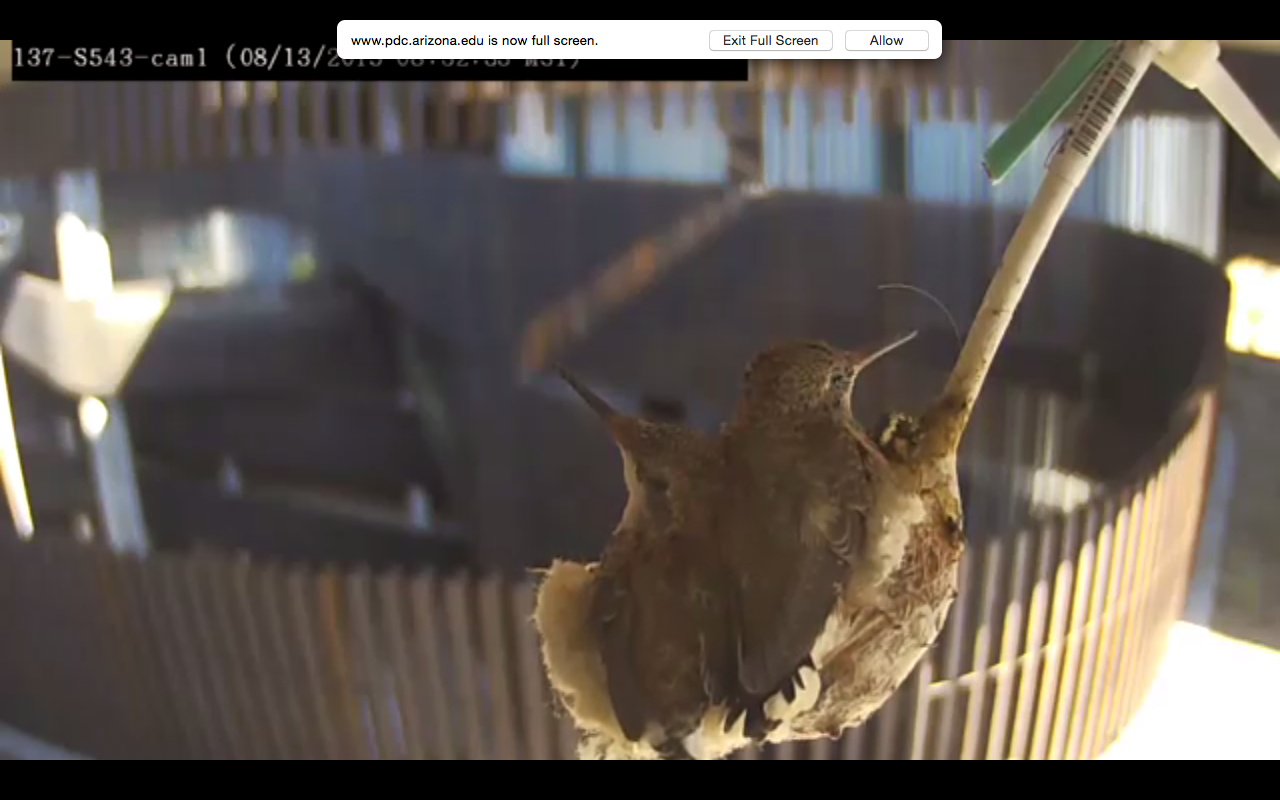 Screen Shot 2015-08-13 at 8.32.36 AM.png
