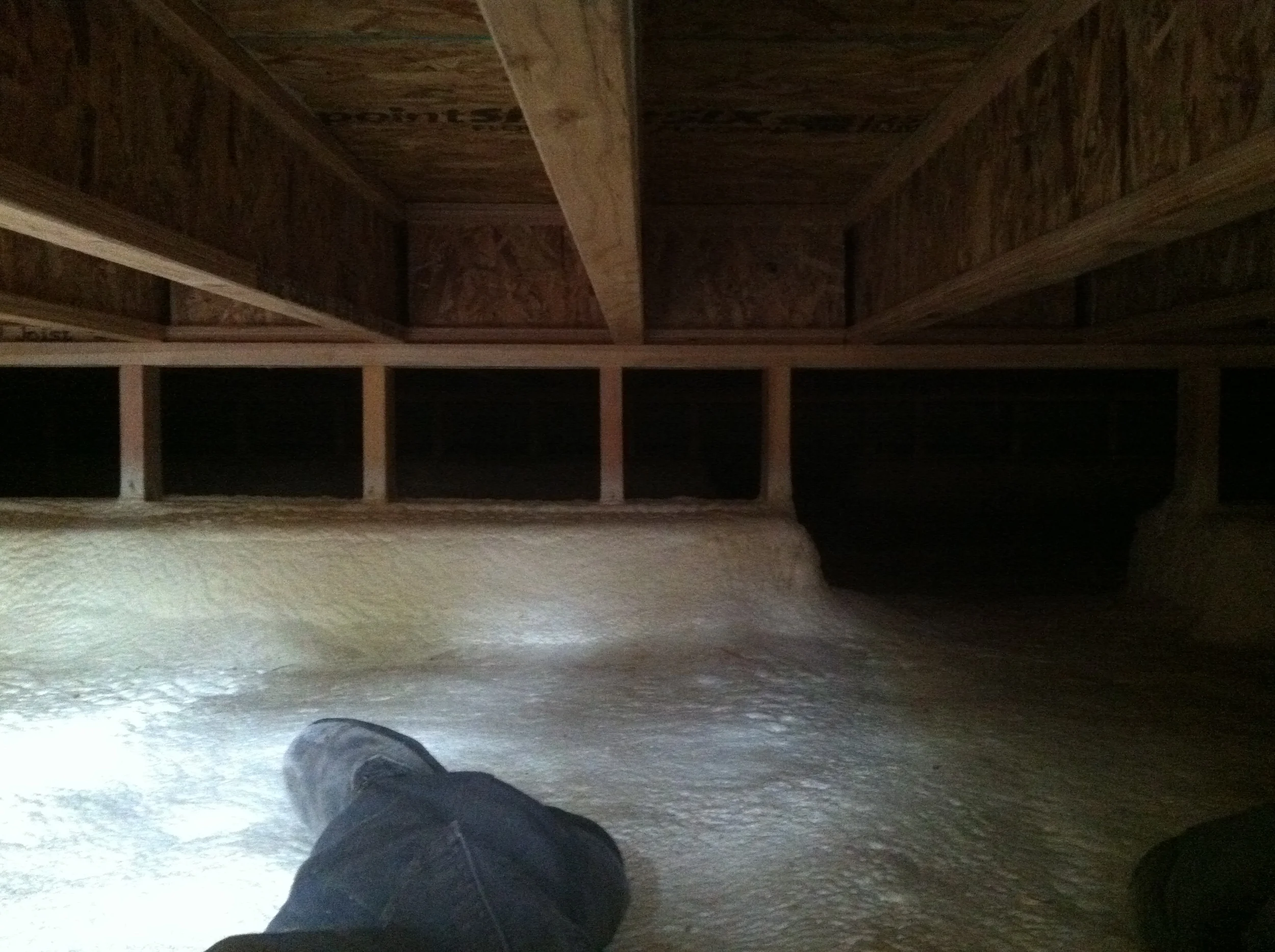 Here are some pictures of the crawlspace after the floor has been installed.
