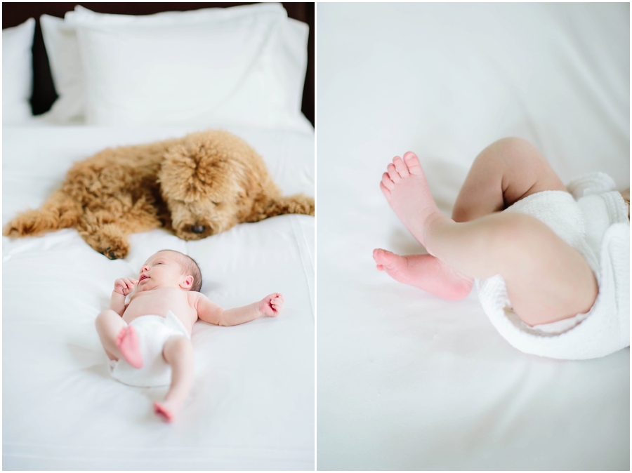  Heather Rowland Photography; Dallas Newborn Photographer; Newborn Photographer; Fort Worth Family Photographer 