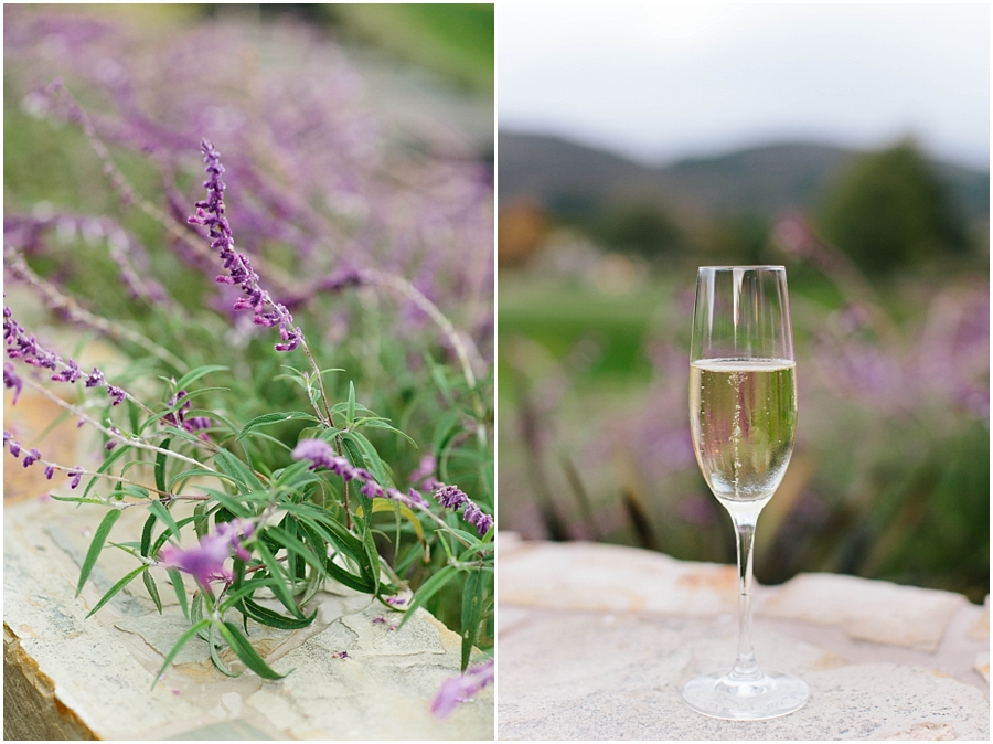  Catherine + Todd | Carmel, CA 