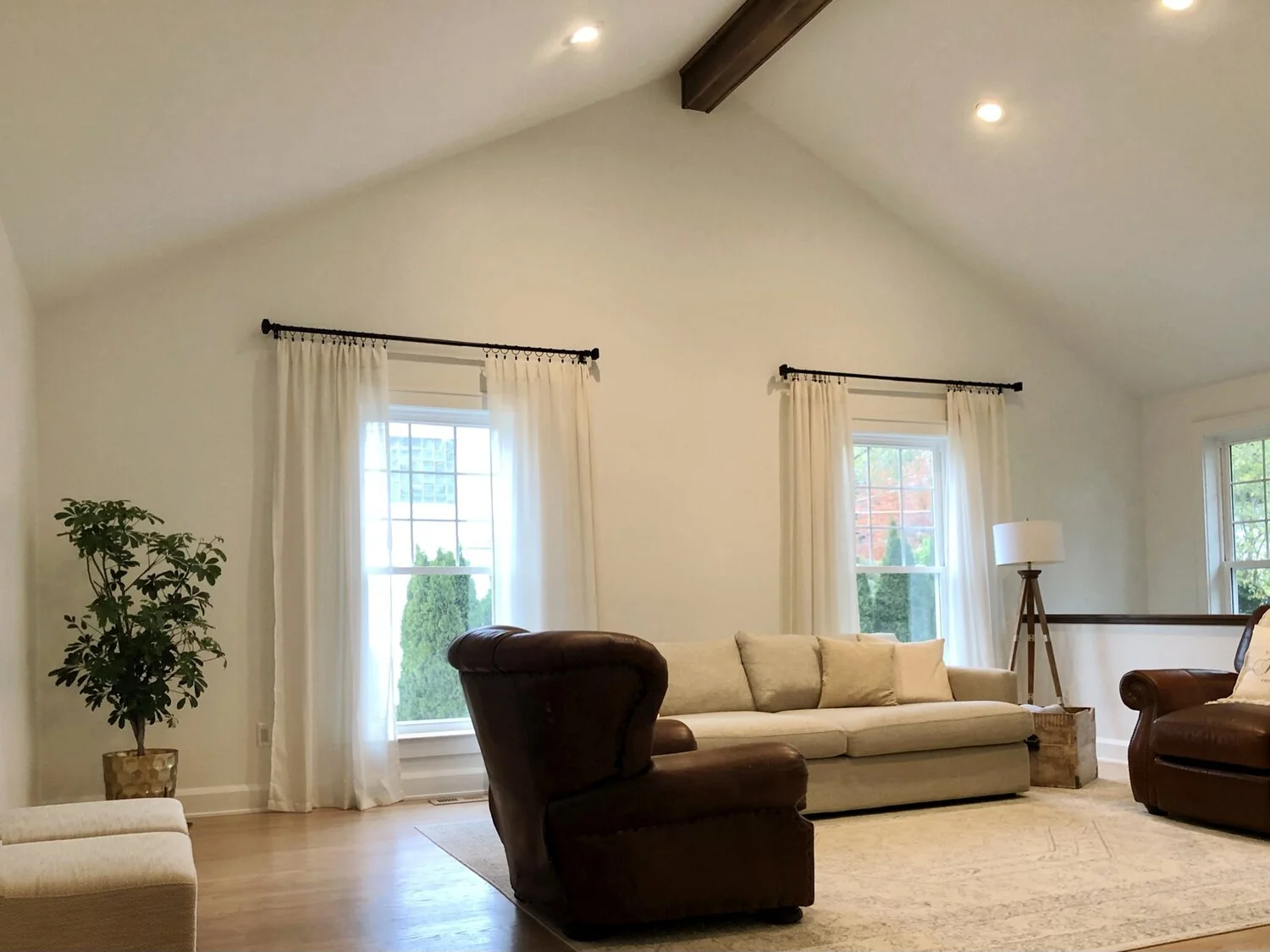 dolenc living room.jpeg