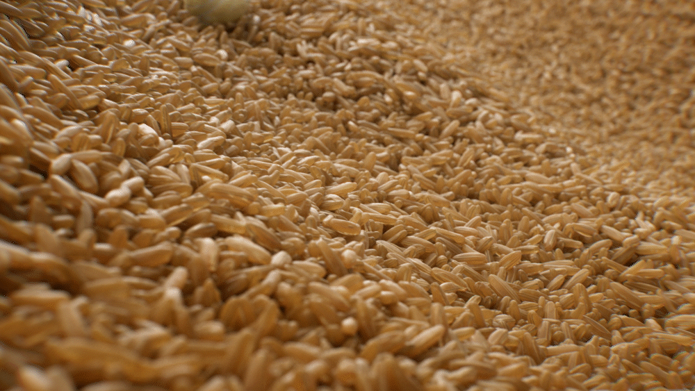 AGRINO RICE CHIPS