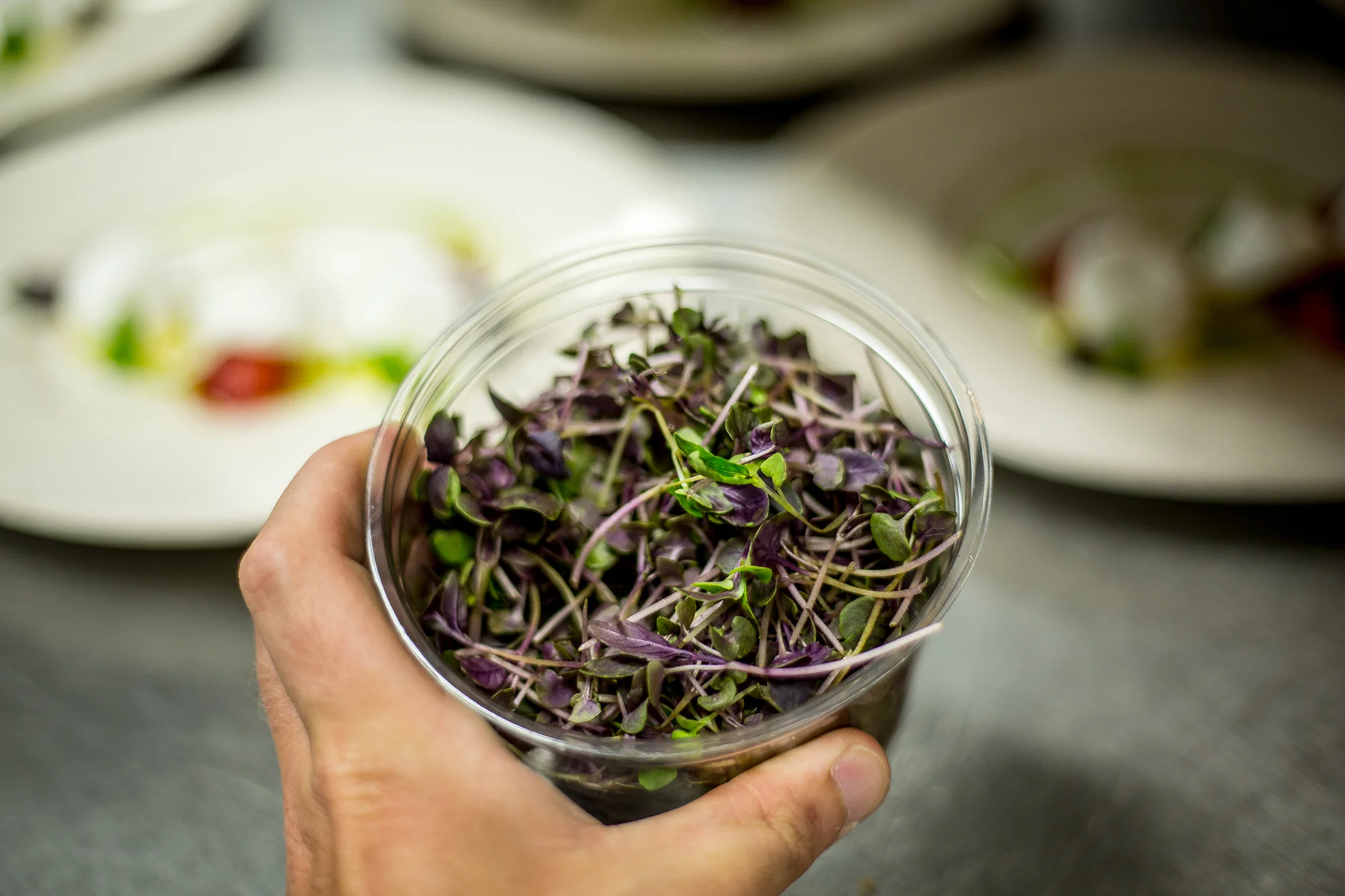Microgreens.jpg