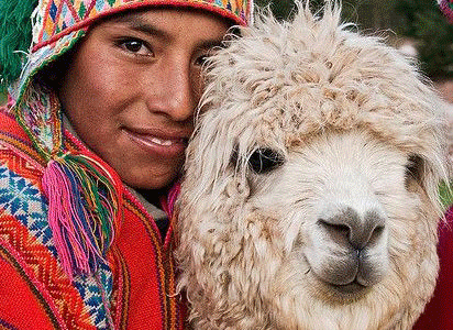 nino_llama_edited.gif