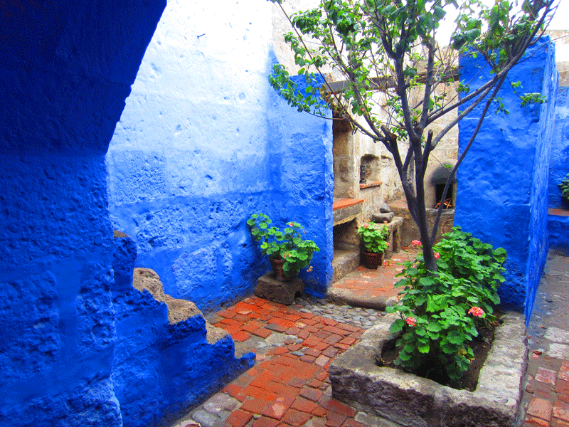 IMG_1914.gif