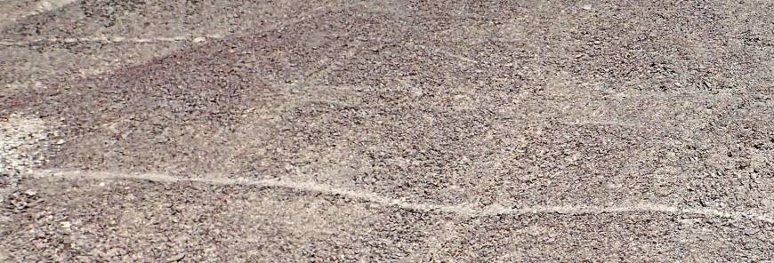 A photo taken in January shows an ancient geoglyph in the shape of a llama found by Yamagata University researchers on the Nazca Plateau in Peru. | YAMAGATA UNIVERSITY / KYODO