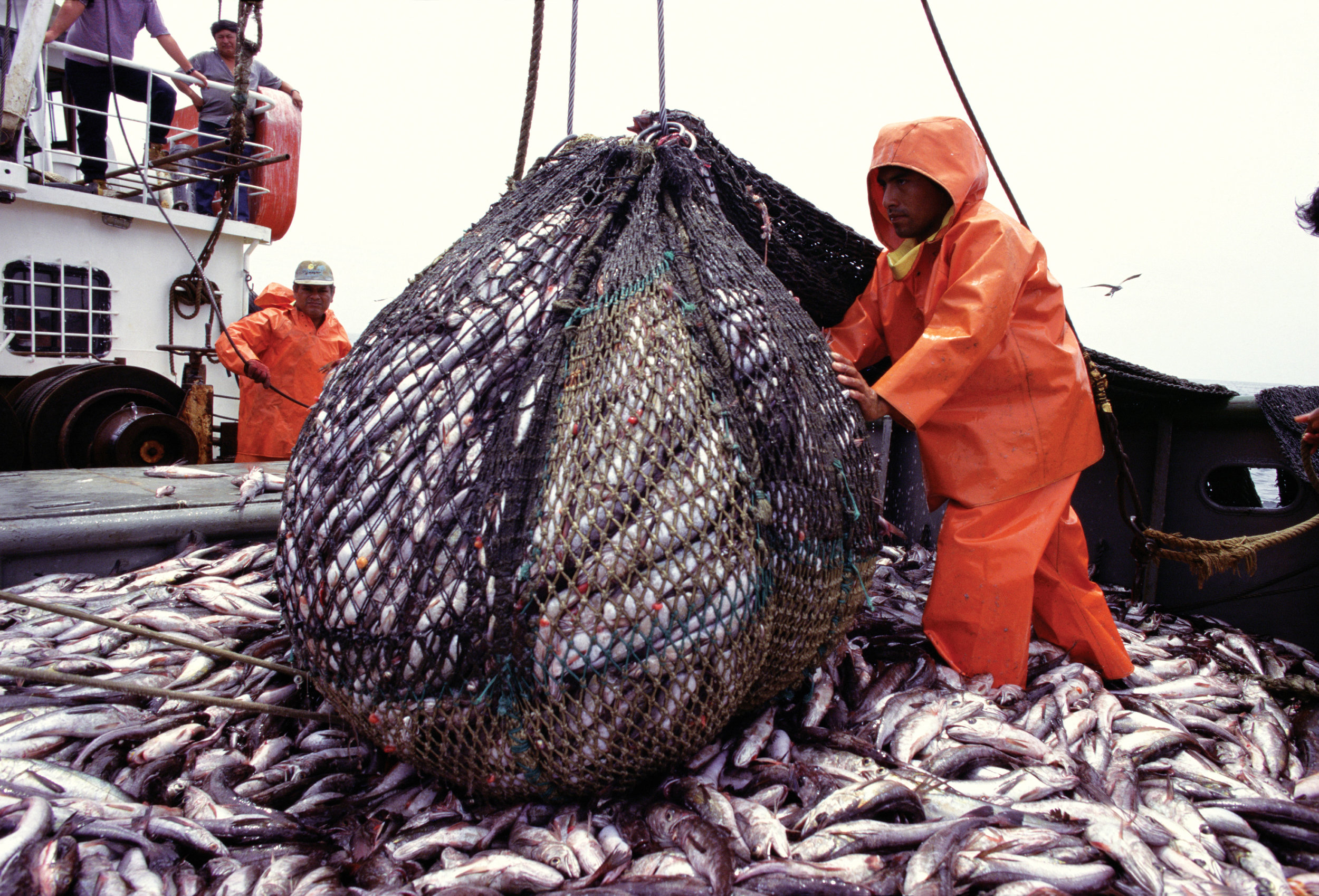 Морской рыбный промысел. Добыча рыбы. Вылов рыбы. Морское рыболовство. Рыболовная промышленность.