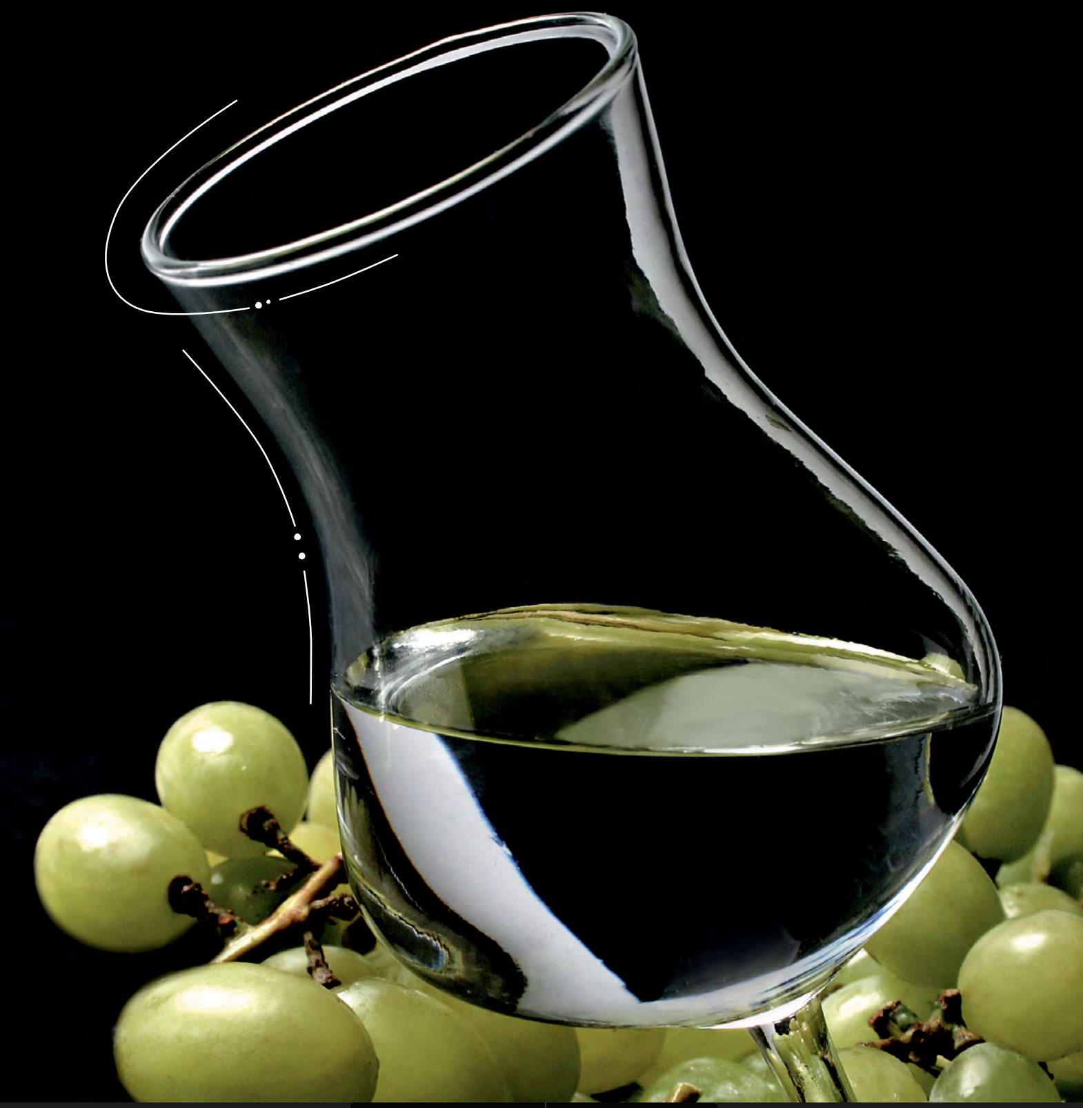 pisco