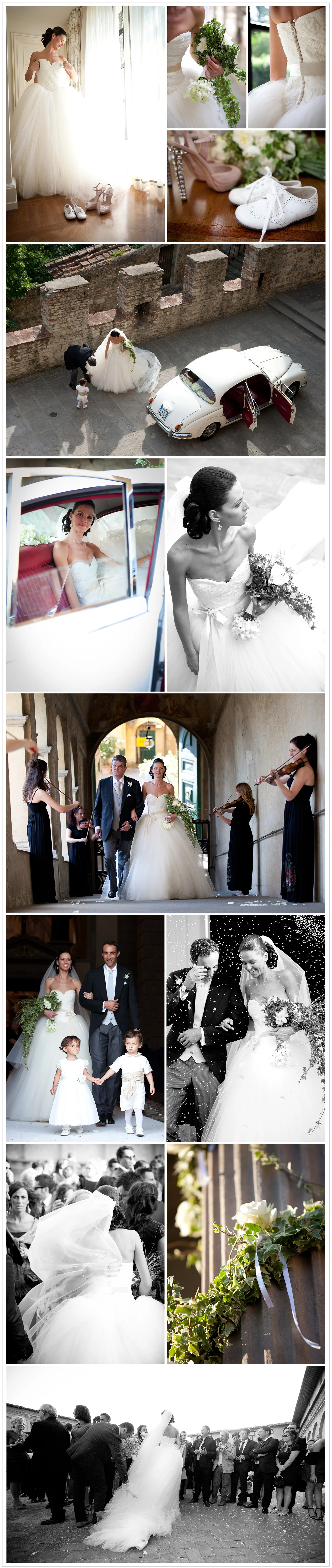 susanmarianiphotography.jpg