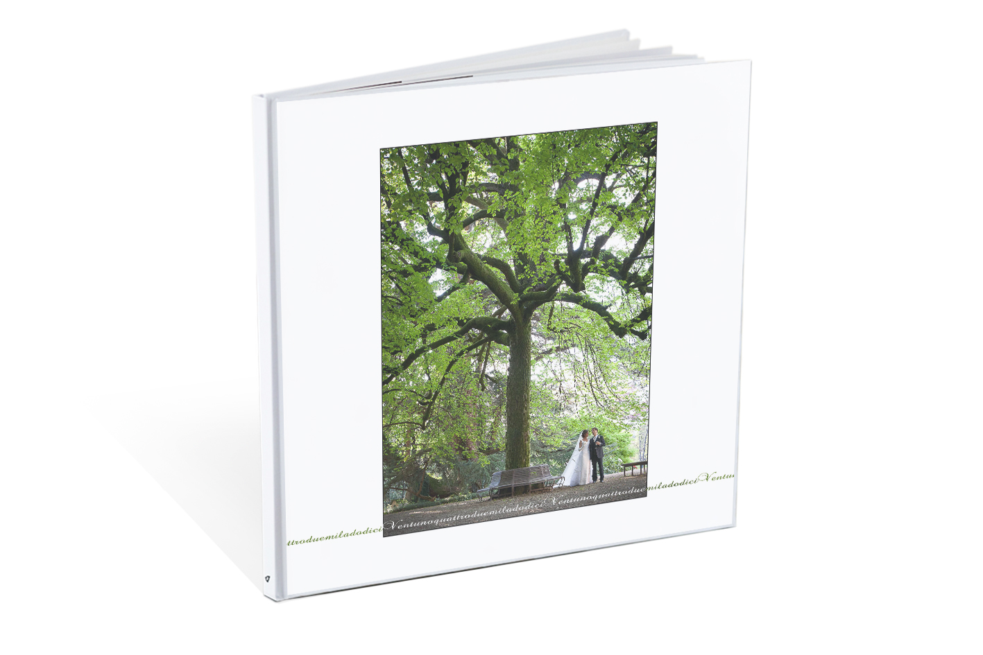 Susan Mariani Photography