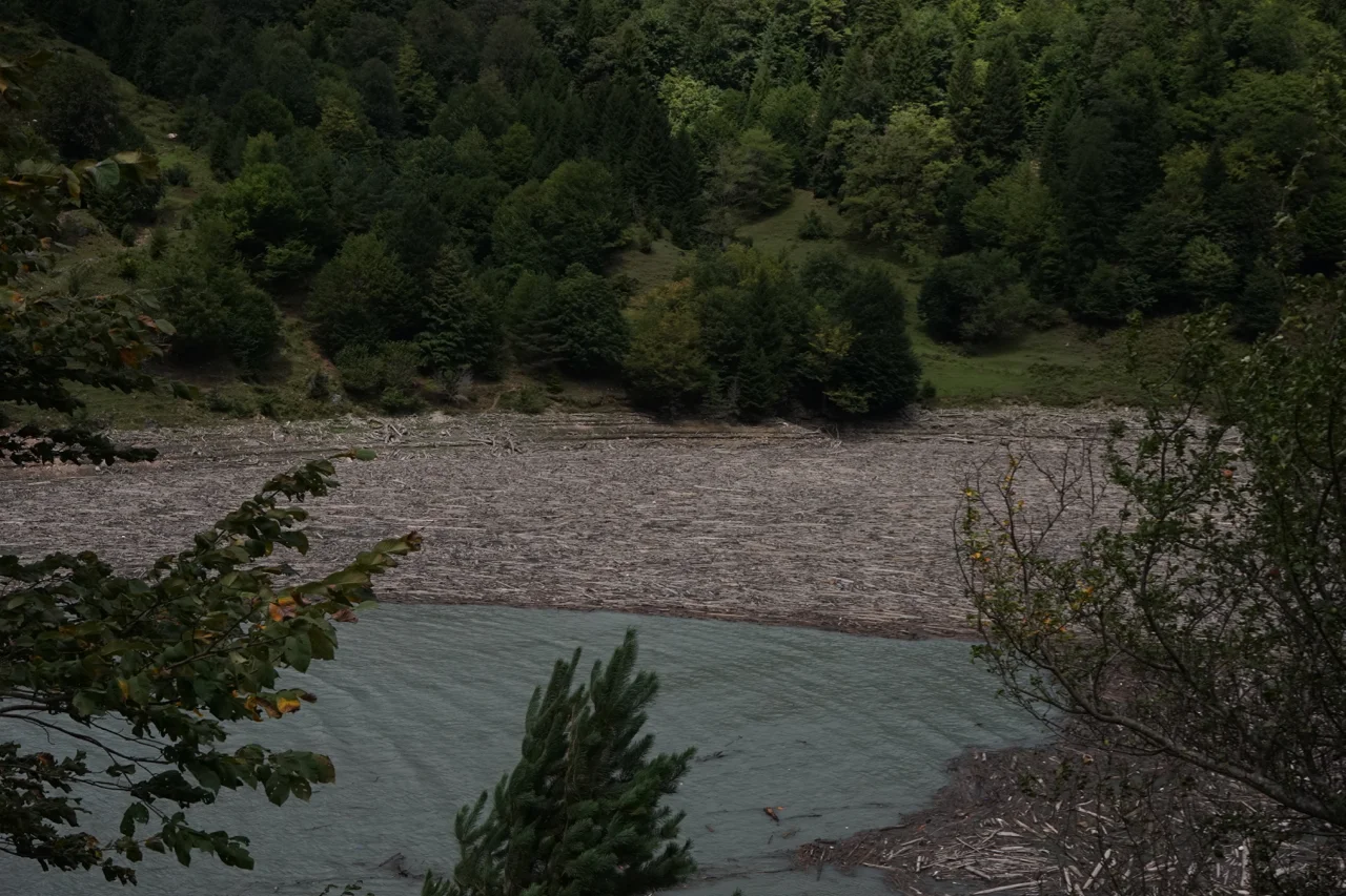 DSC05663.jpg