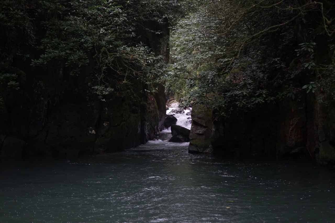 DSC05828.jpg
