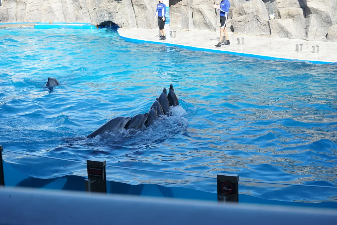 DSC05888.jpg