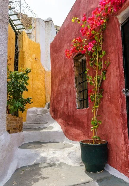 beautiful-narrow-old-street-plaka-district-athens-greece_788189-131.jpg