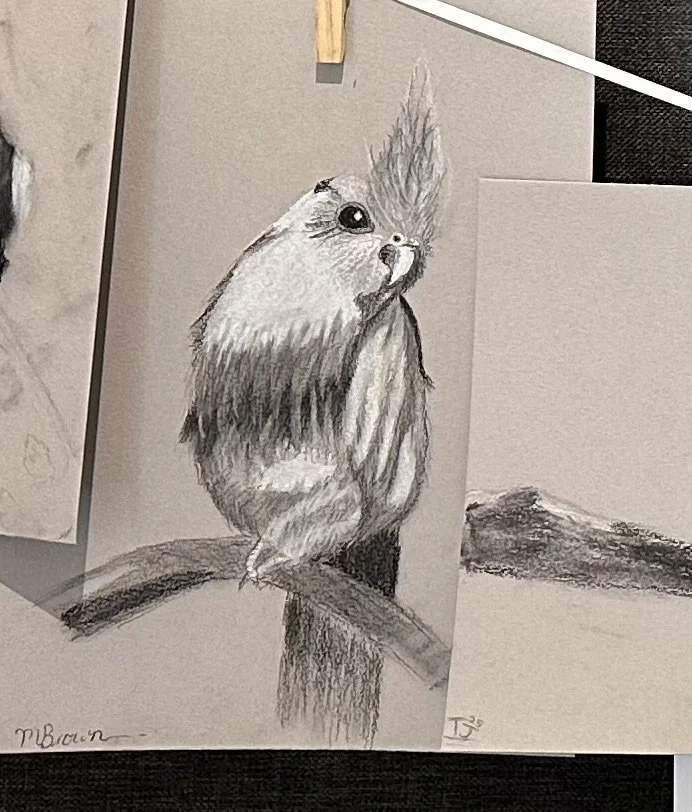 IMG_8789.jpeg (Copy)