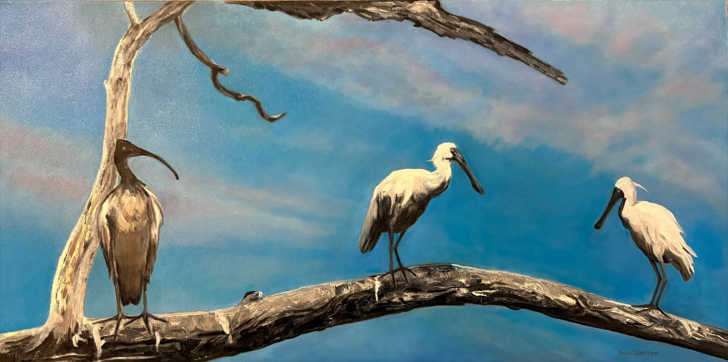 Ibis and Spoonbills.jpeg