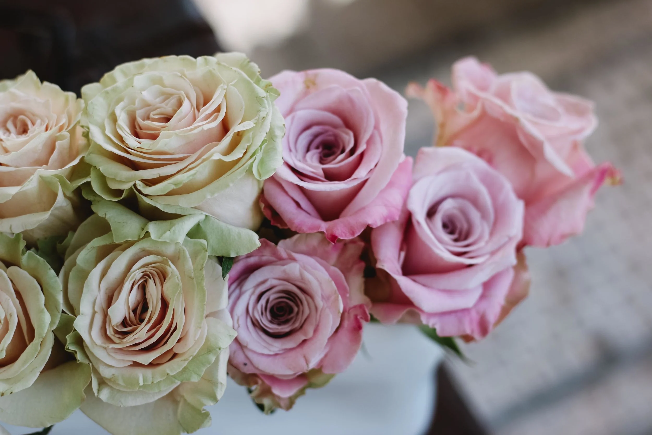 bowandrose_ballerina_collection_2017_83.jpg