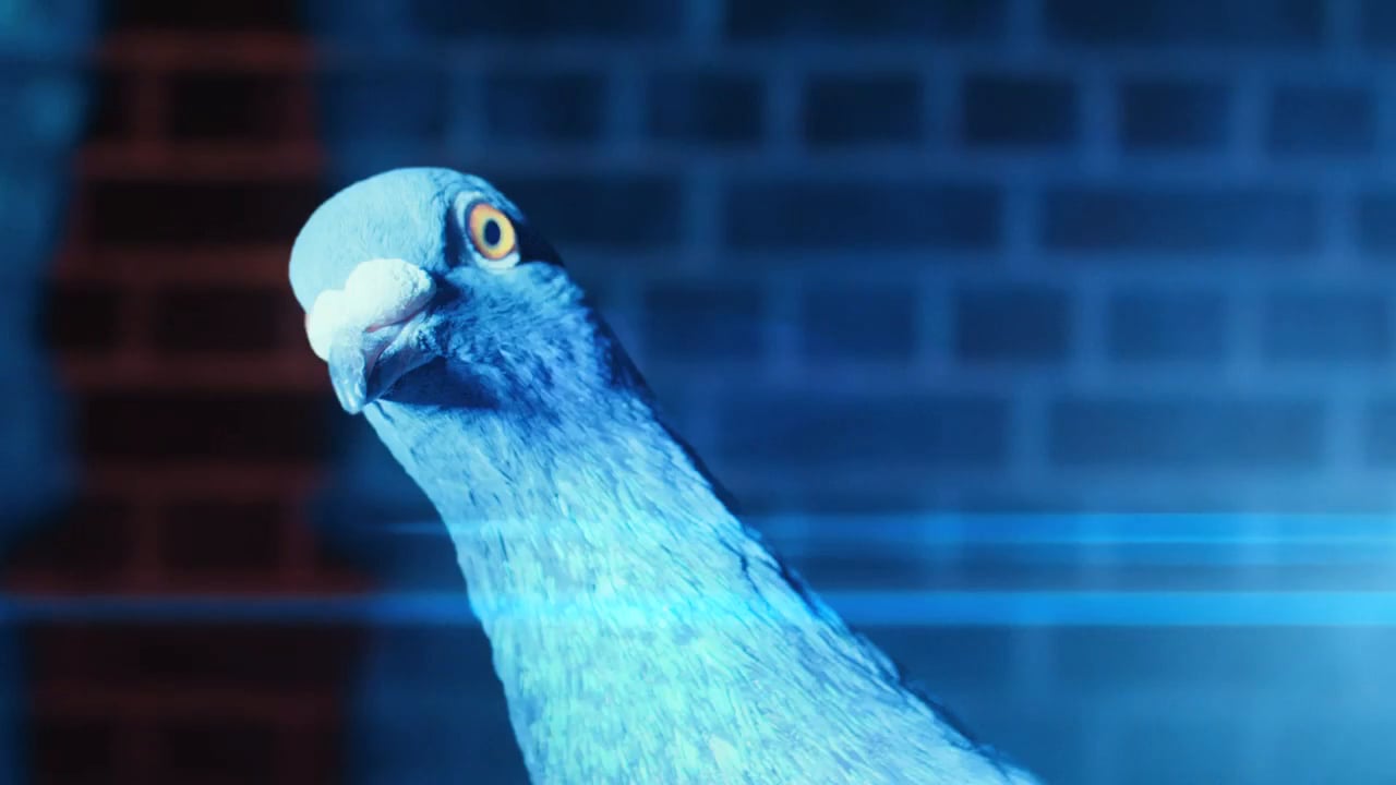 Virgin Money 'Pigeon' - Andy McLeod