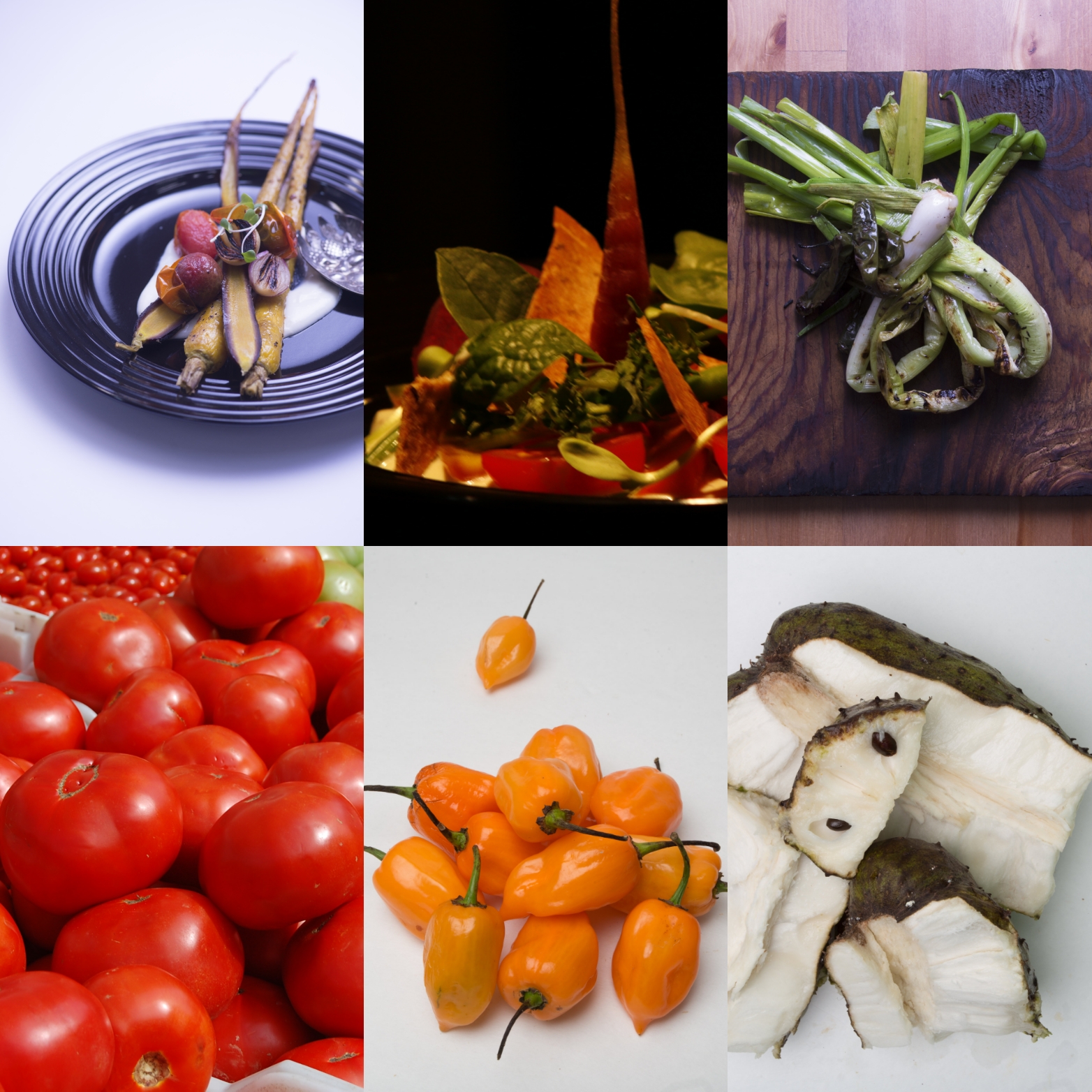 Exciting vegan dishes start with amazing ingredients! 