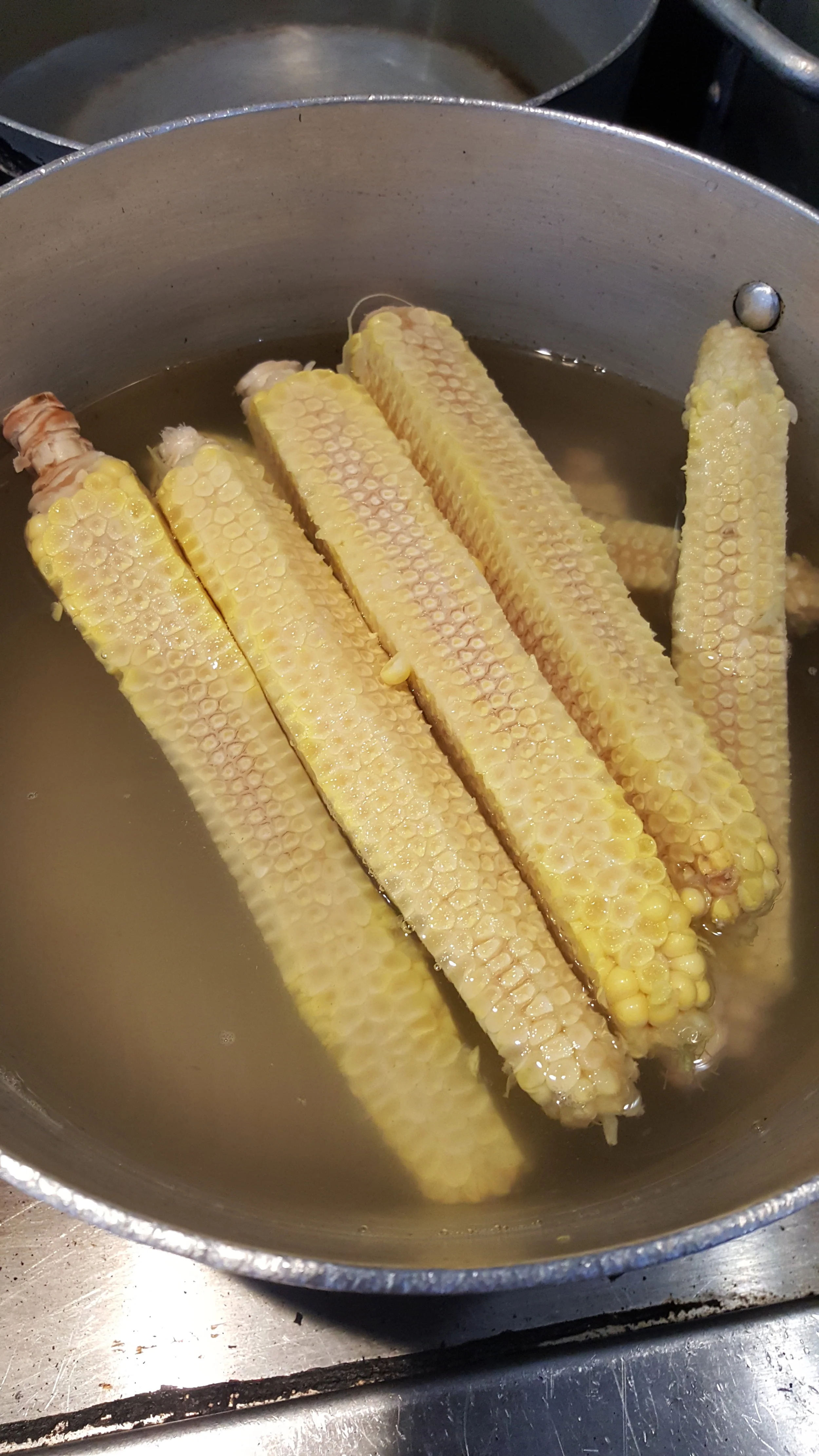 Flavor building is very important in cooking especially in the absence of meat proteins. Make stocks to add flavor. 