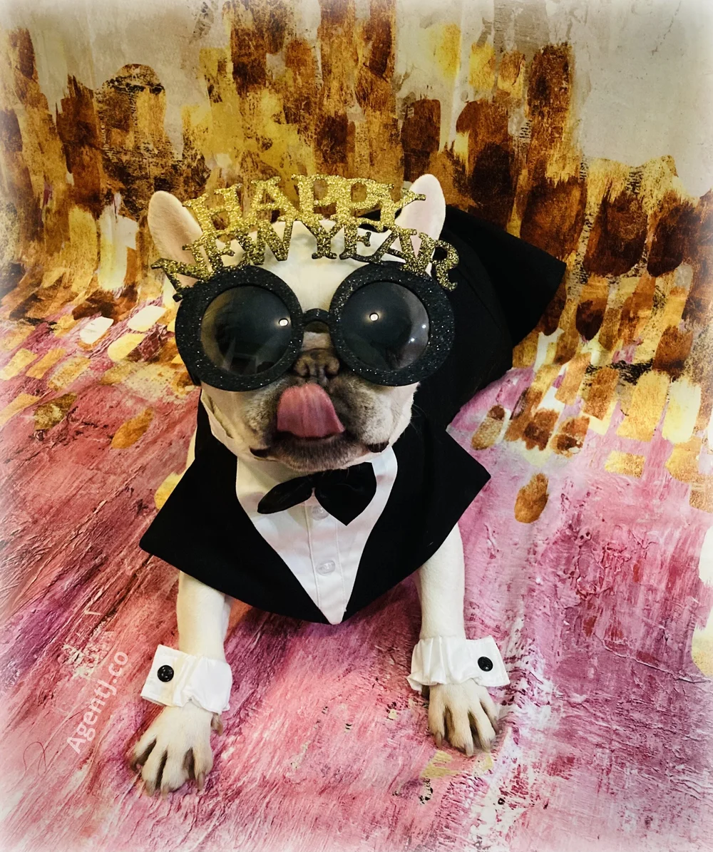 Mia So 2021 Lick.jpeg