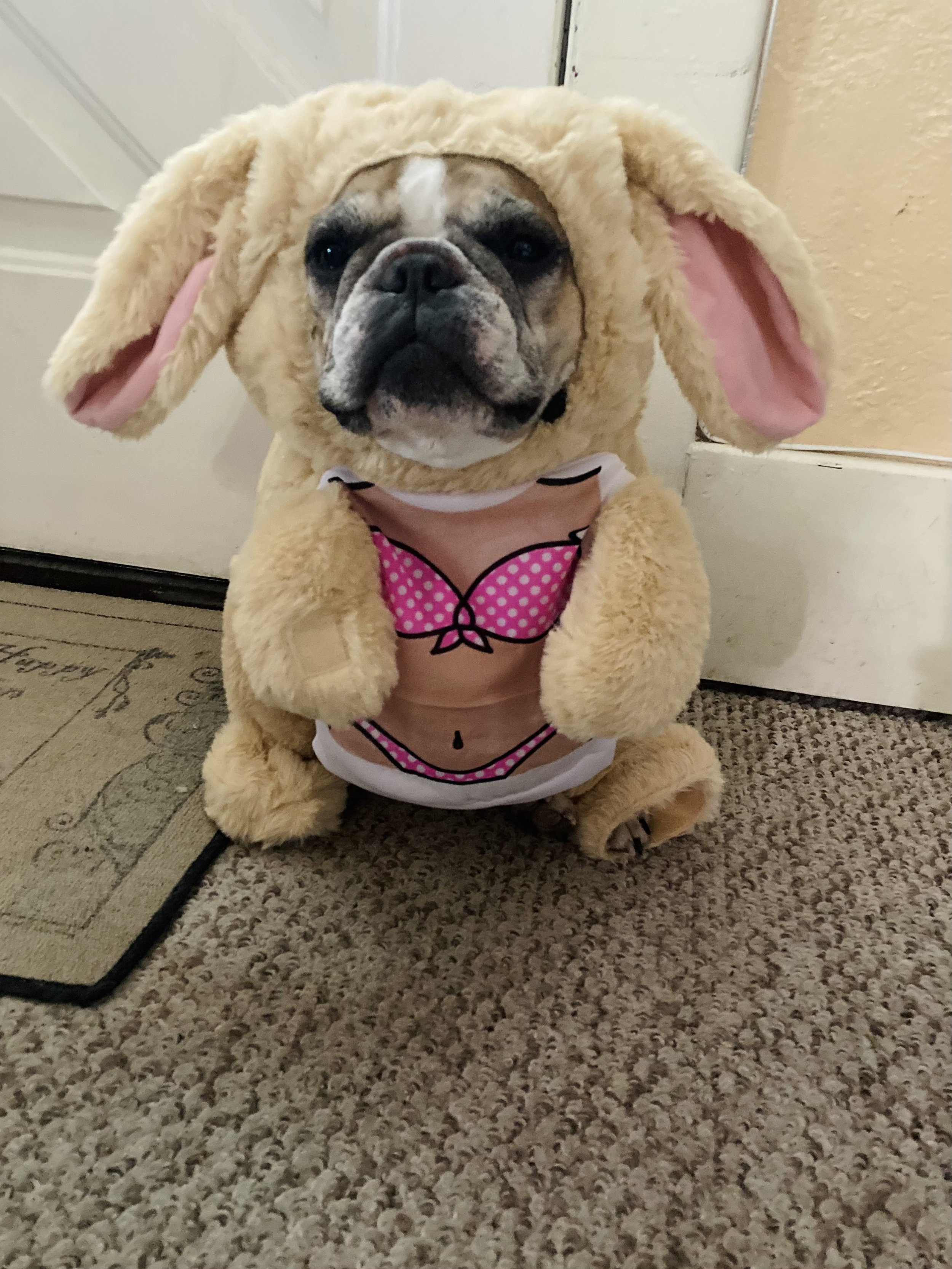 Beach Bunny