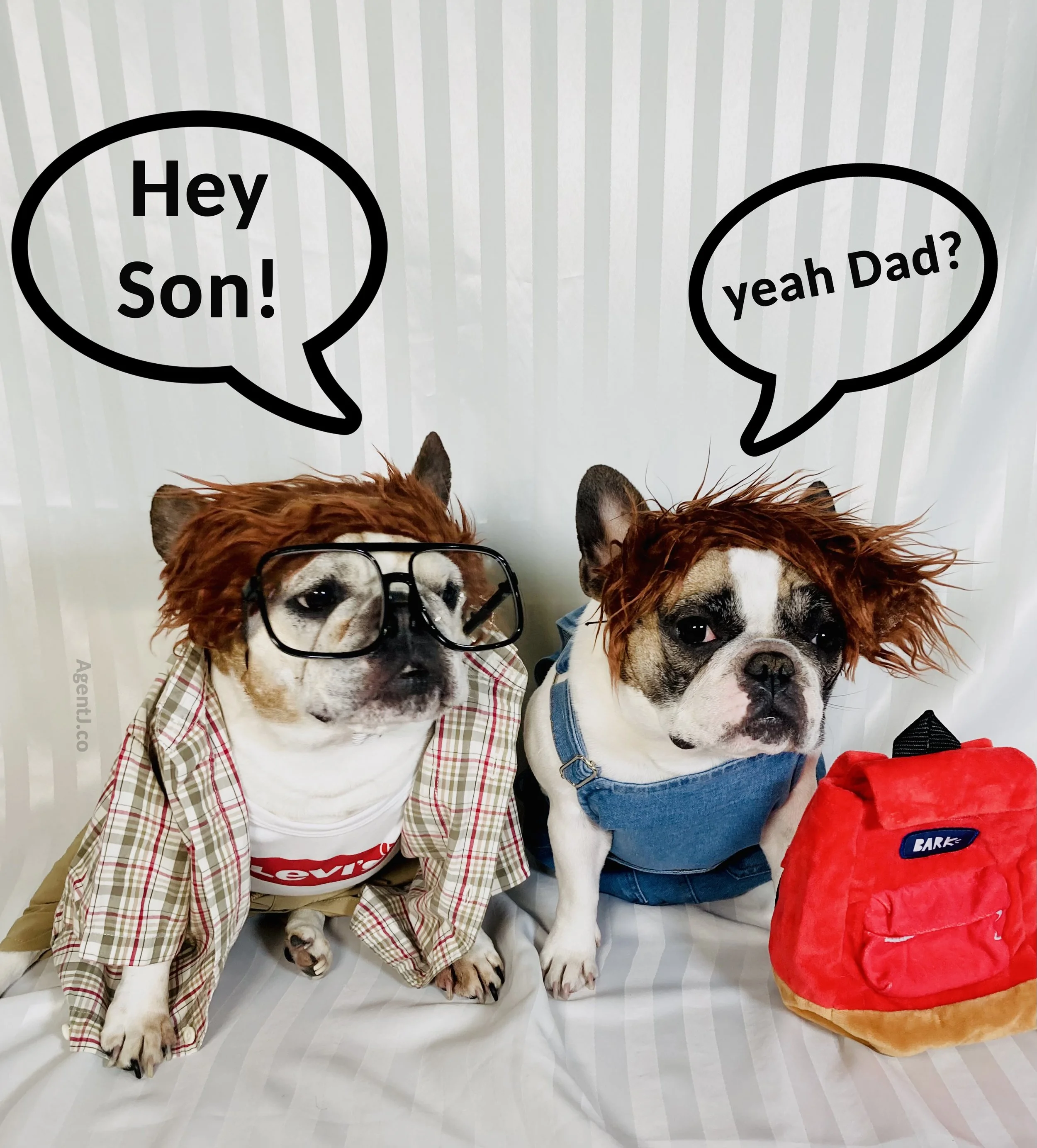 Hey Son AJ.jpg