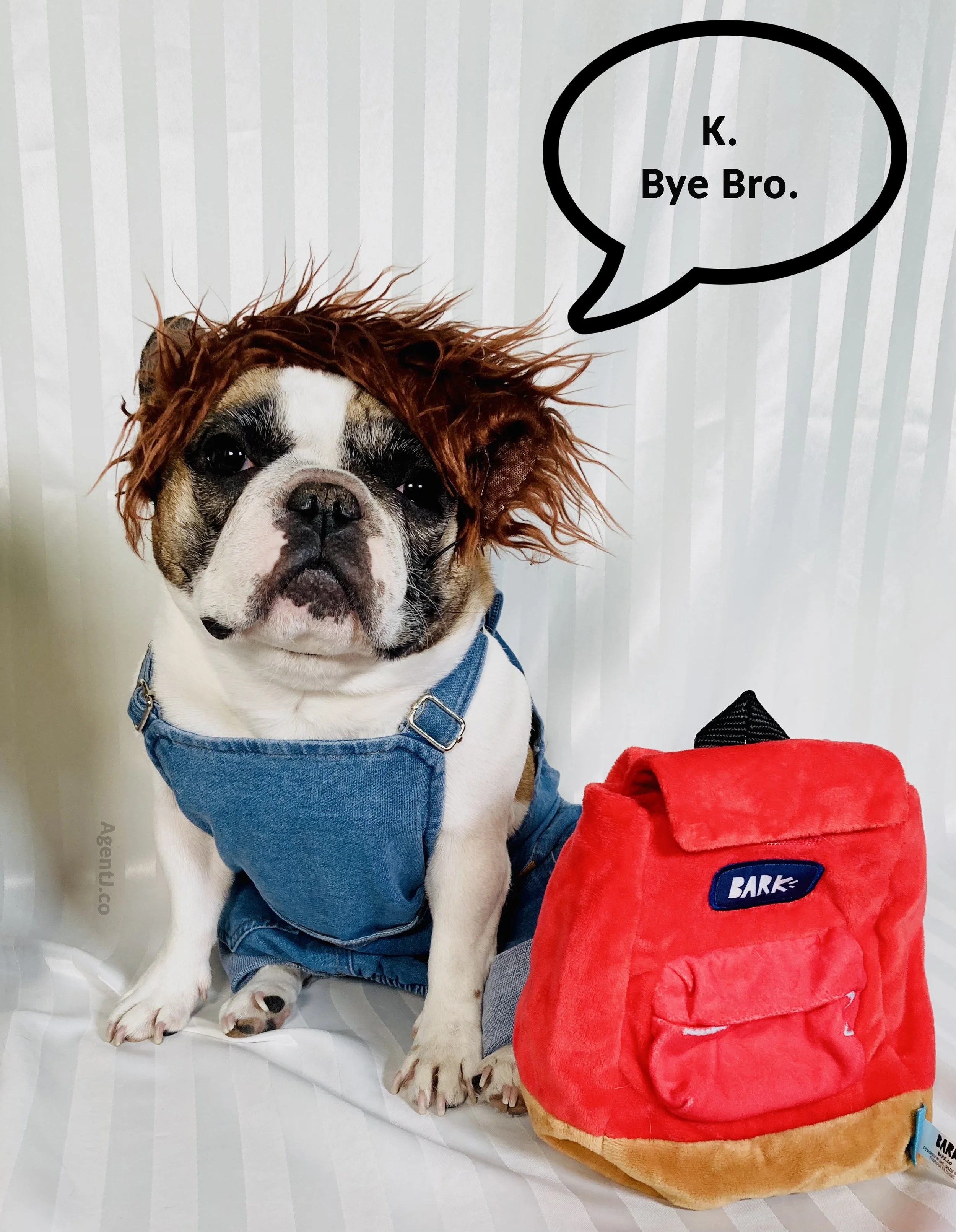 K Bye Bro AJ.jpg