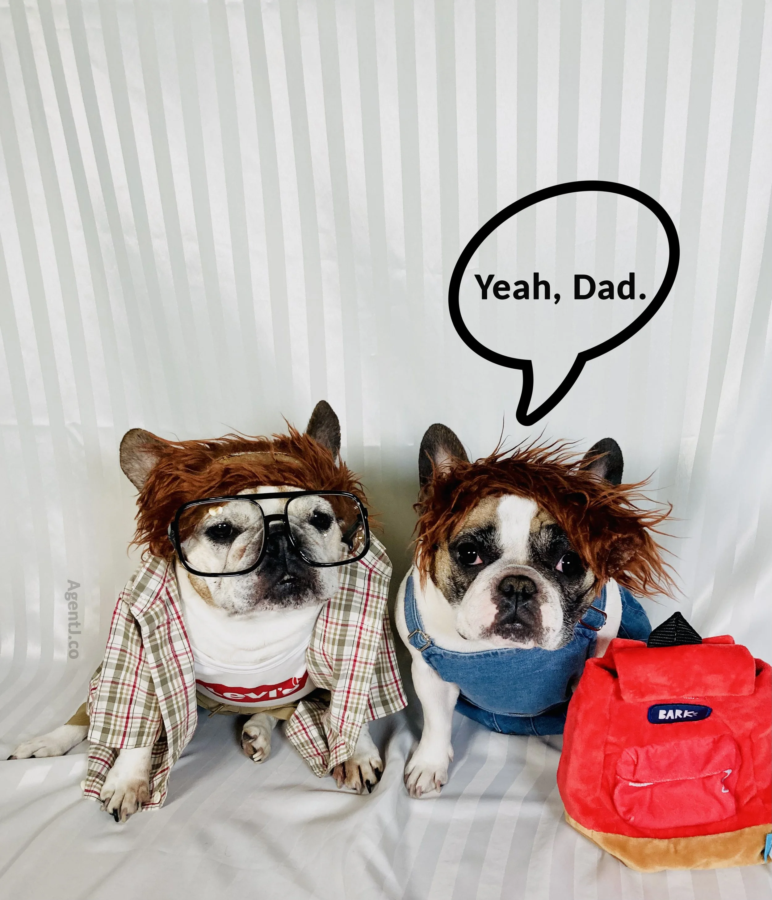 Yeah Dad AJ.jpg