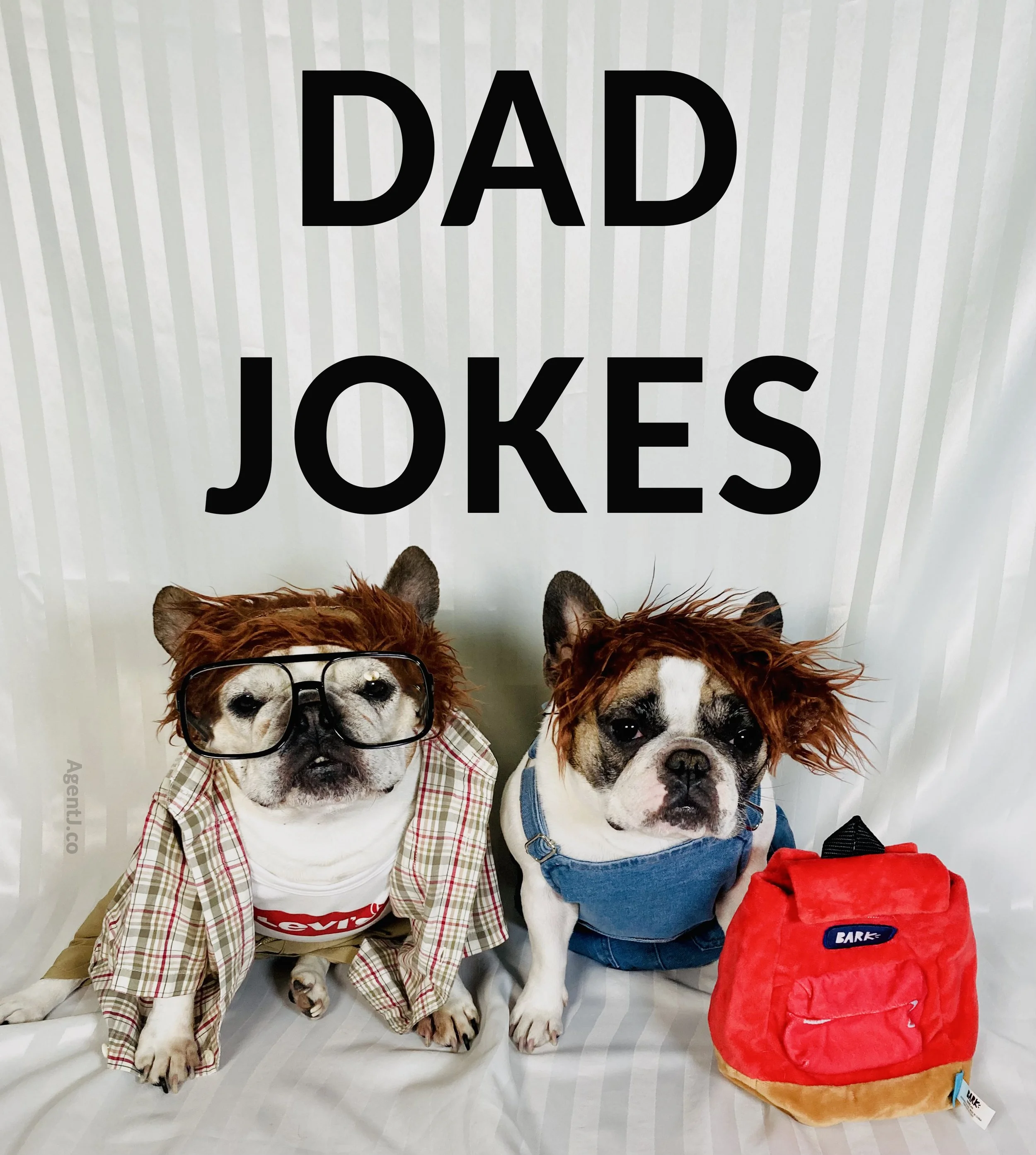 Dad Jokes AJ.jpg