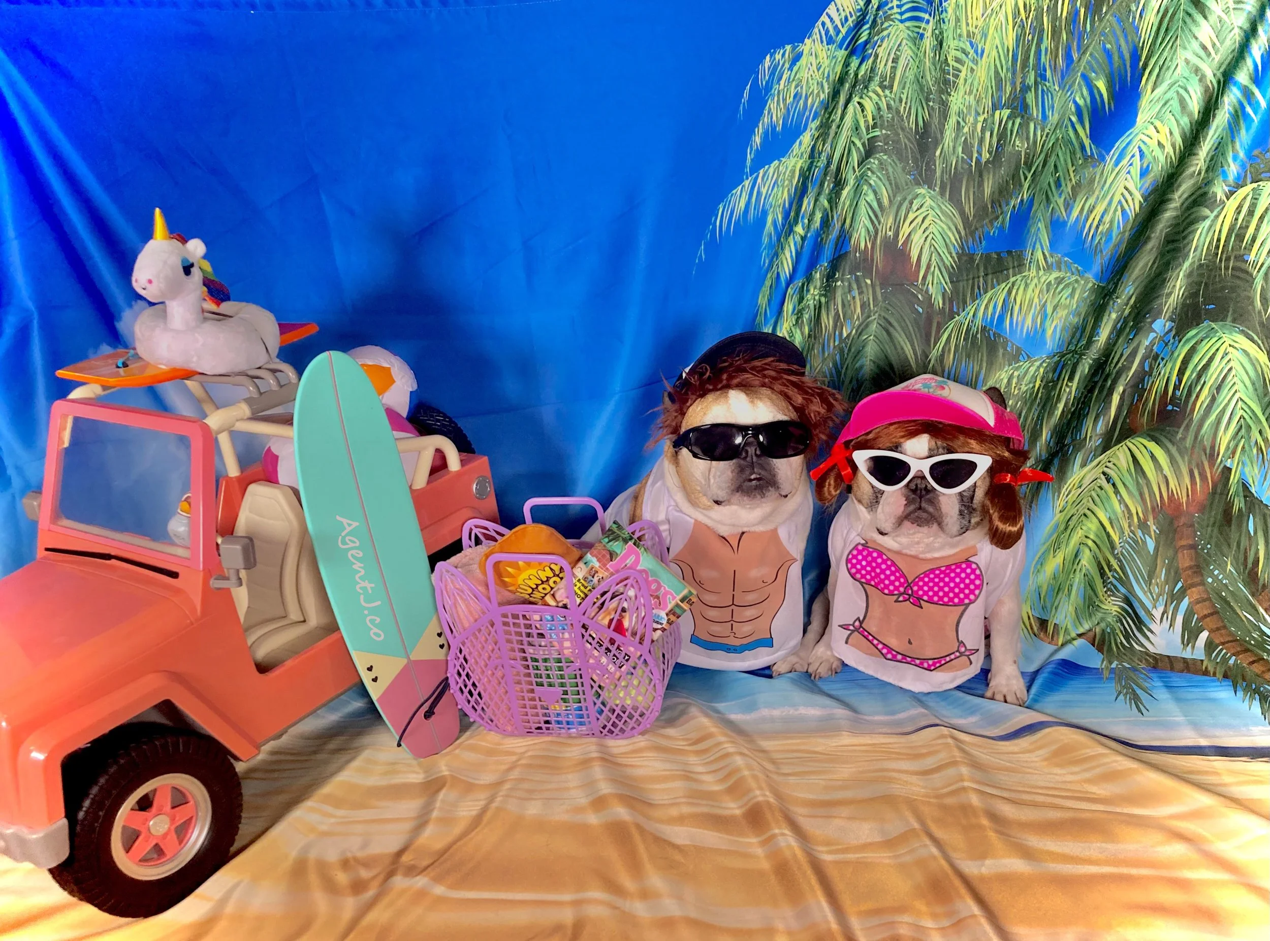 Beach Please AJ FV.jpg
