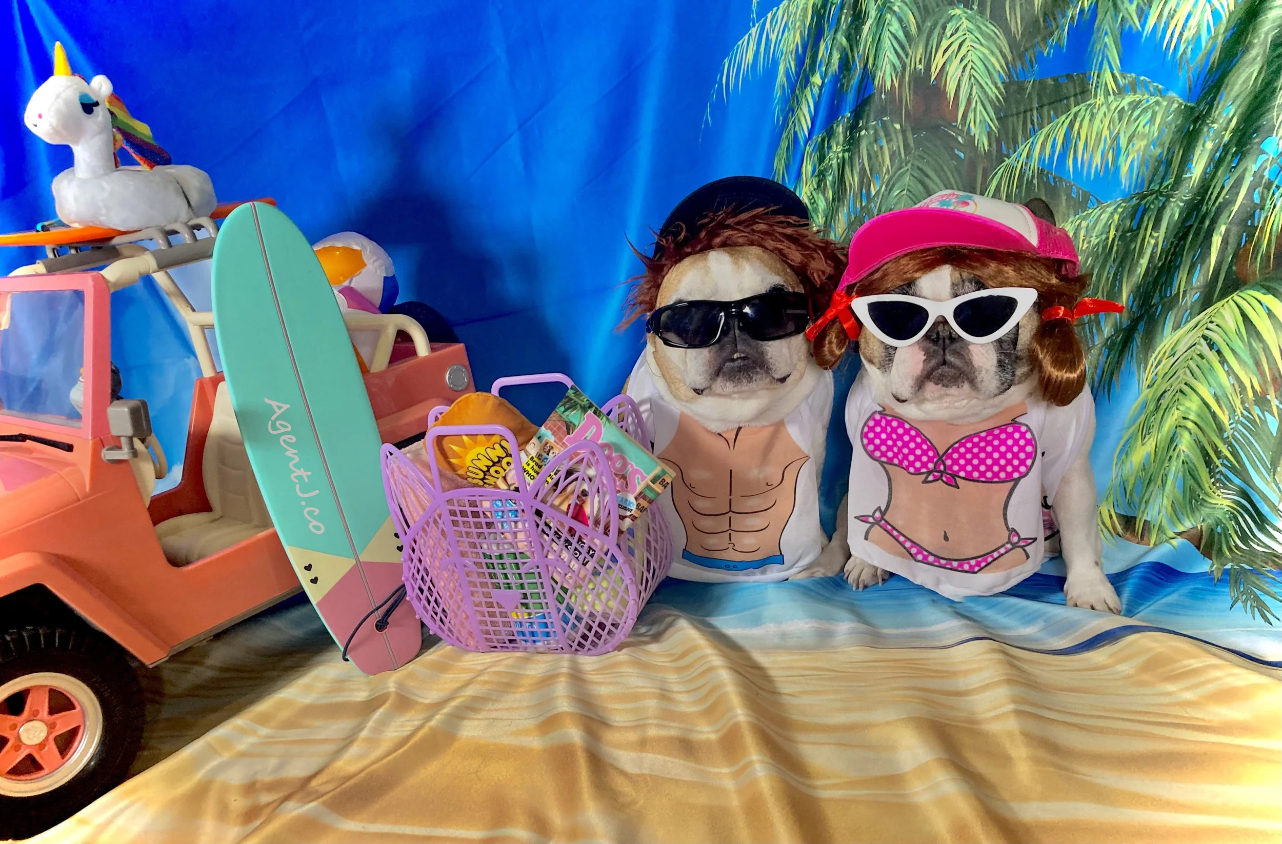 Beach Please AJ FV 2.jpg