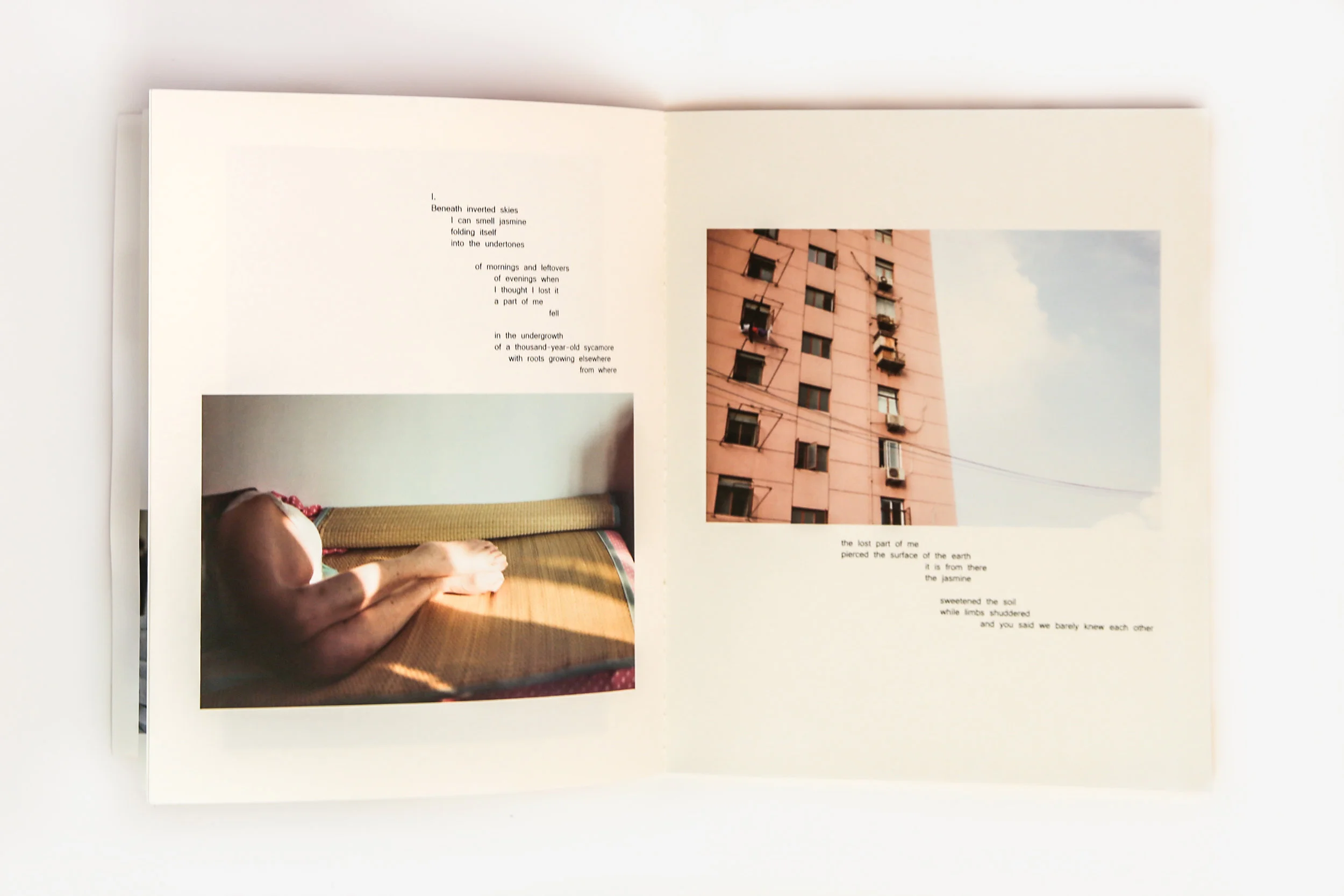 nostos book 1.jpg