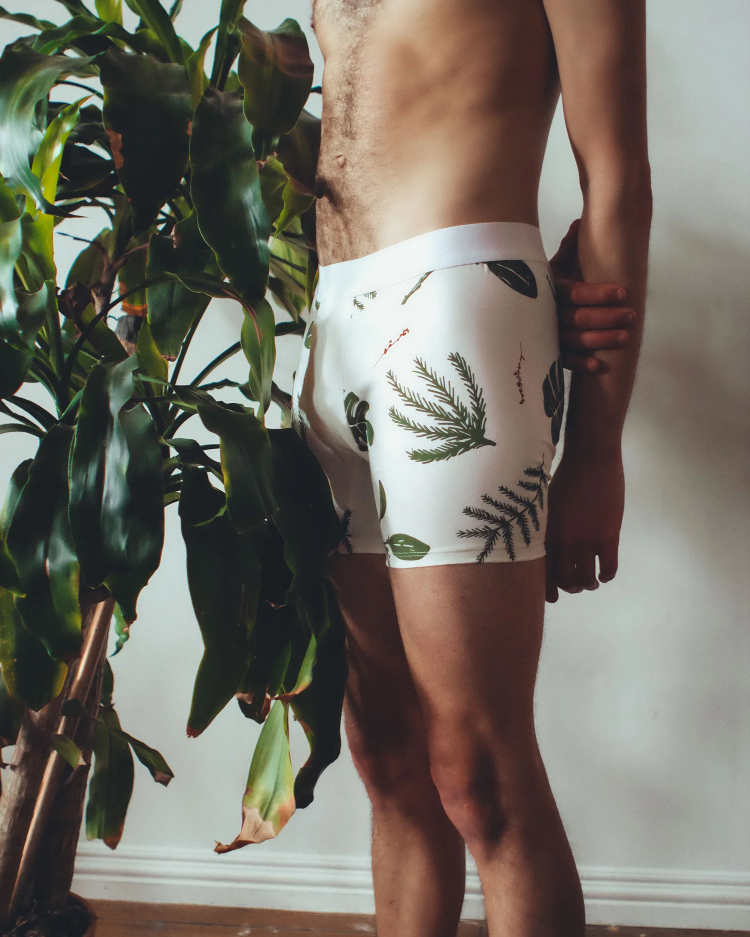 plantsweb3.jpg