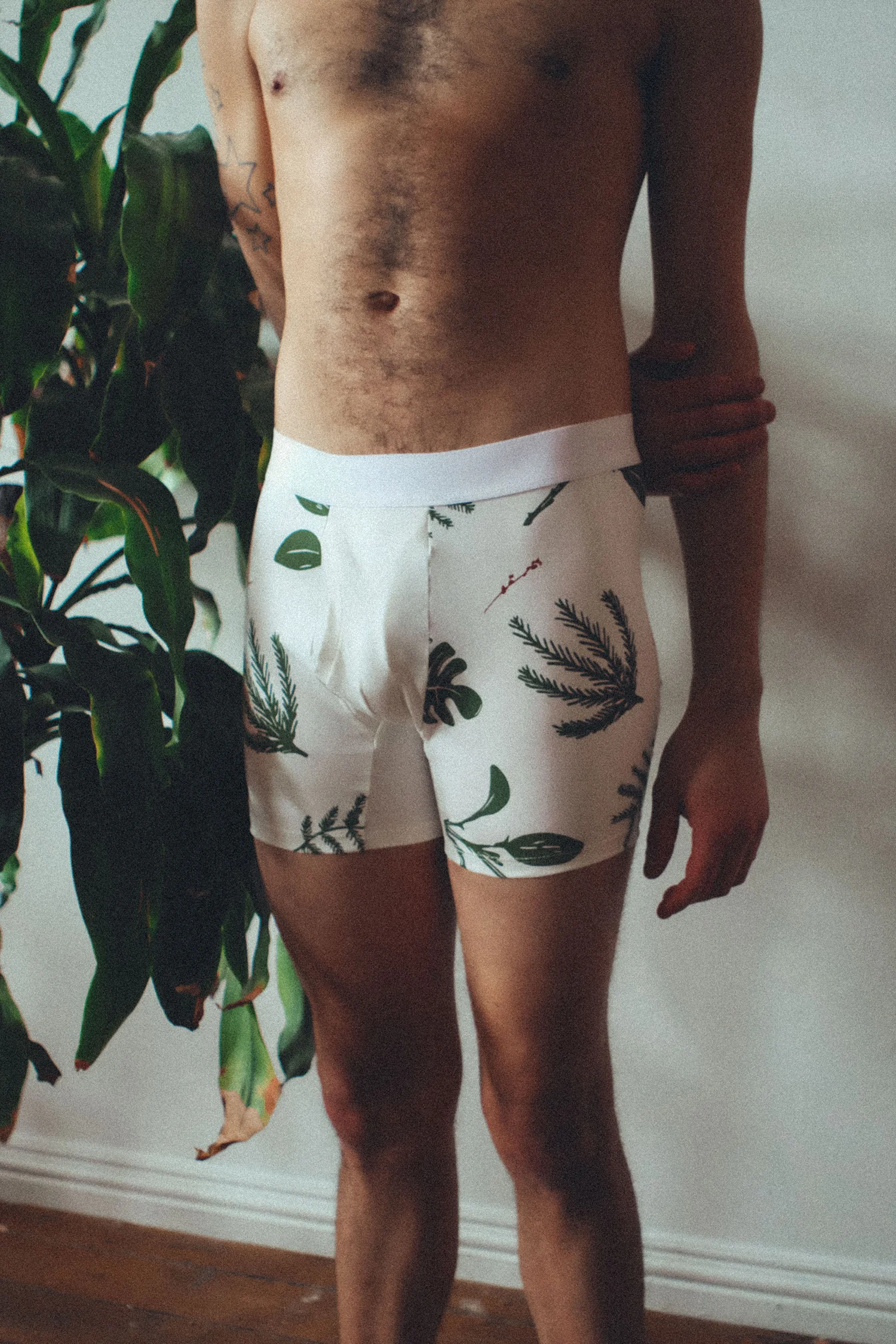plantsweb2.jpg